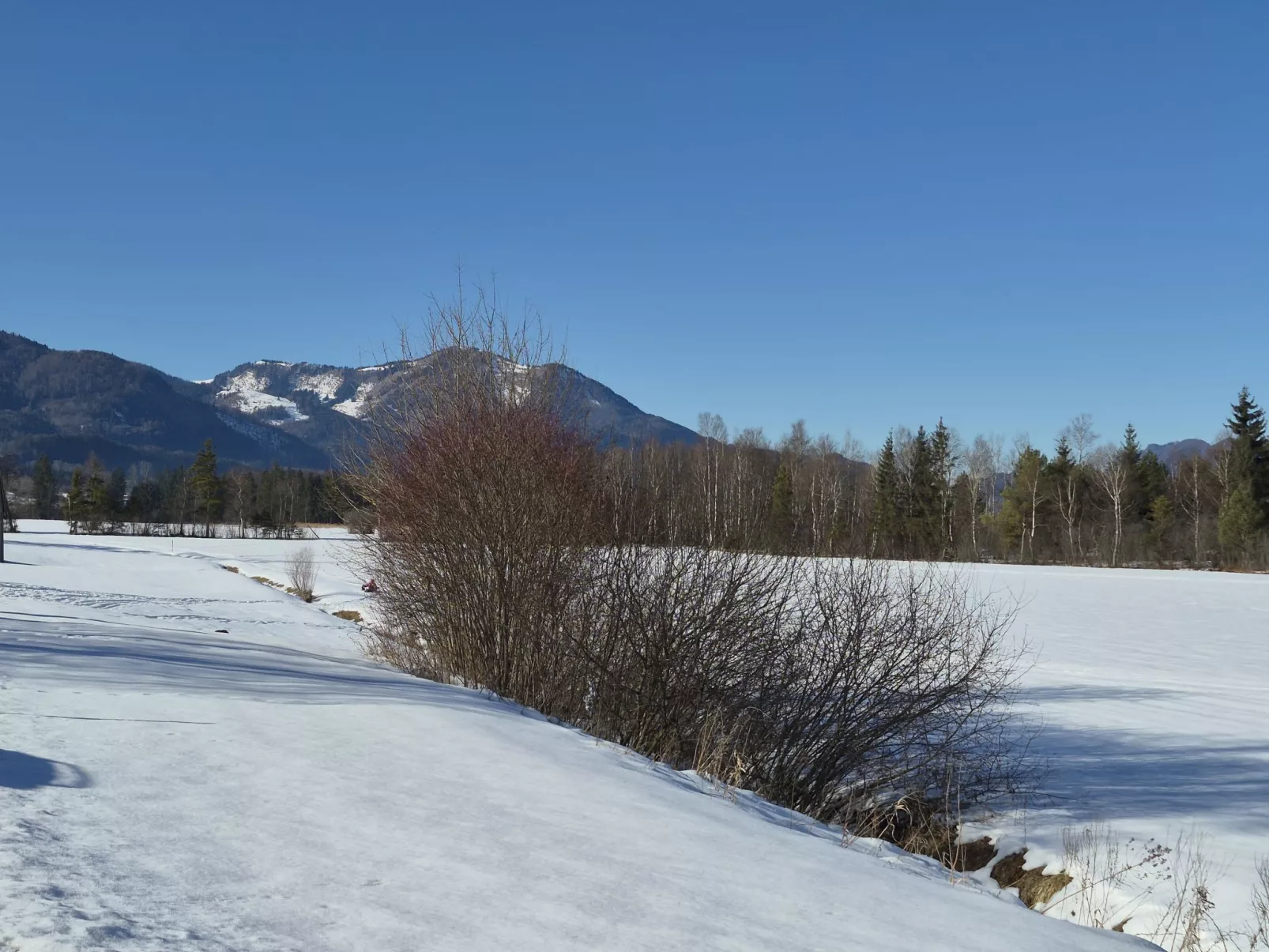 Wohnung Garten 1 Seeblick - Outside
