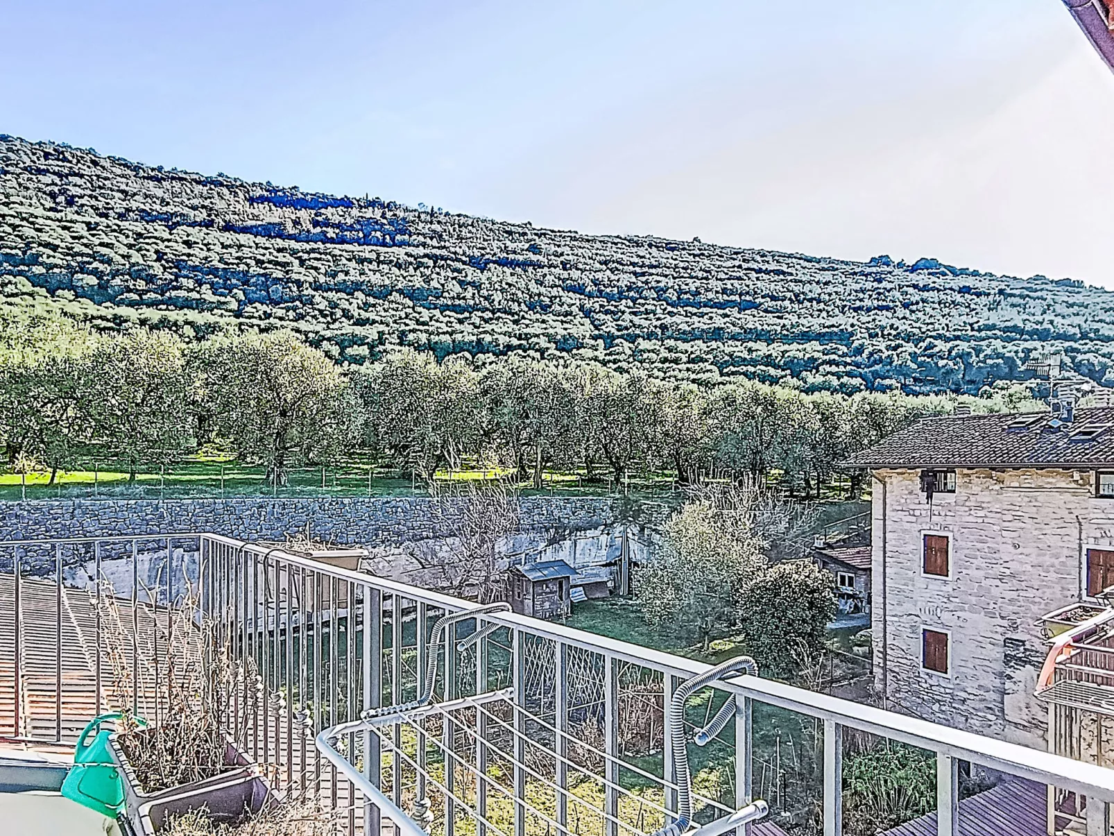 Tra gli Ulivi - Dehors