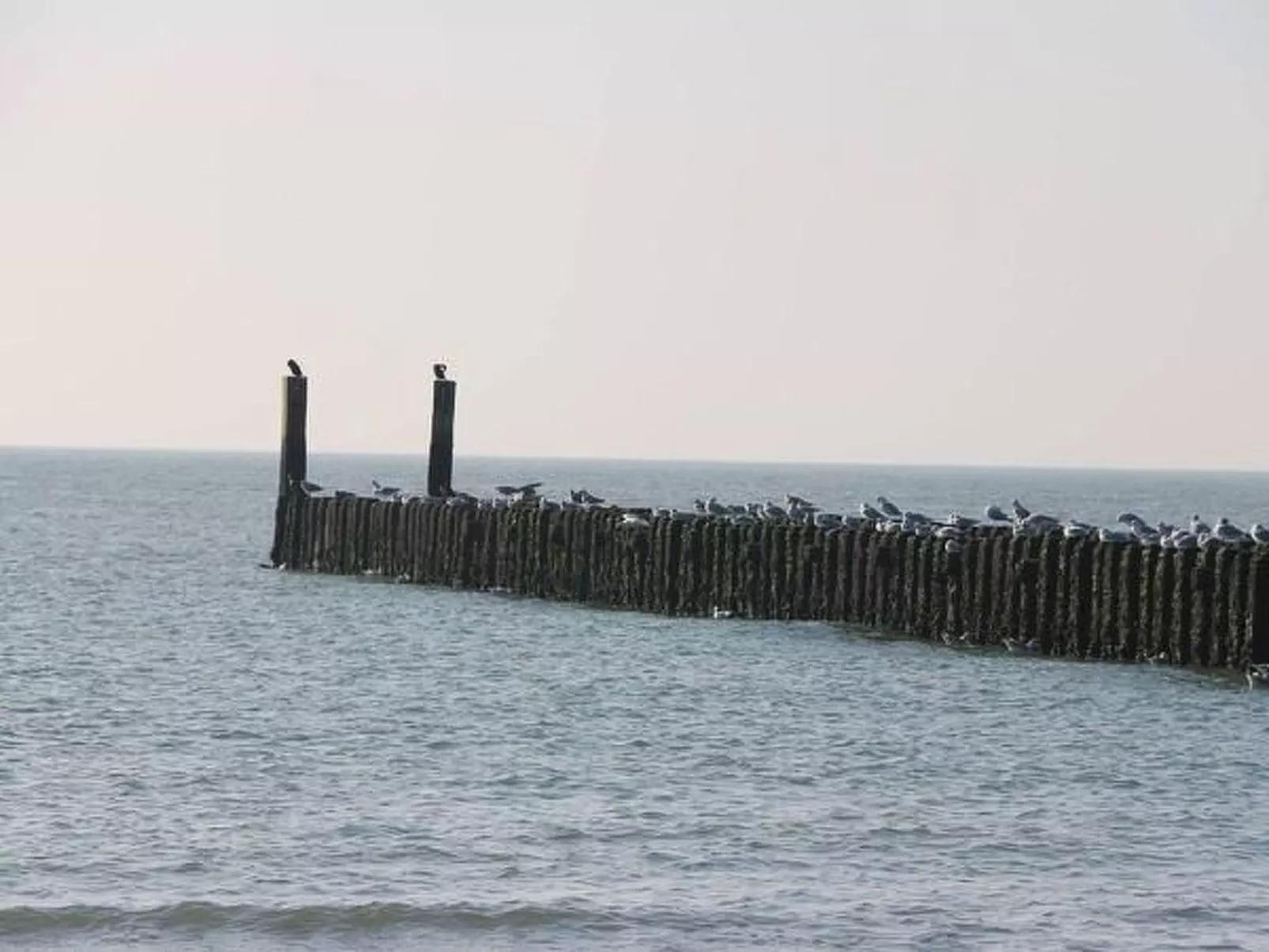 Luxuriöses Studio für 2 Personen de Zuus - Outside