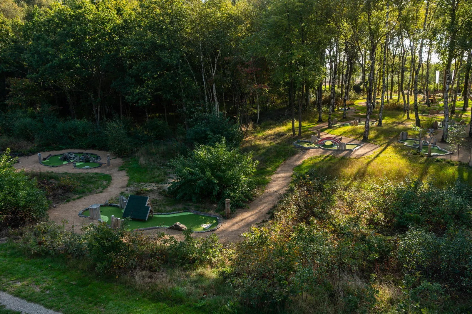 Resort Ruinen 12-Park facilities