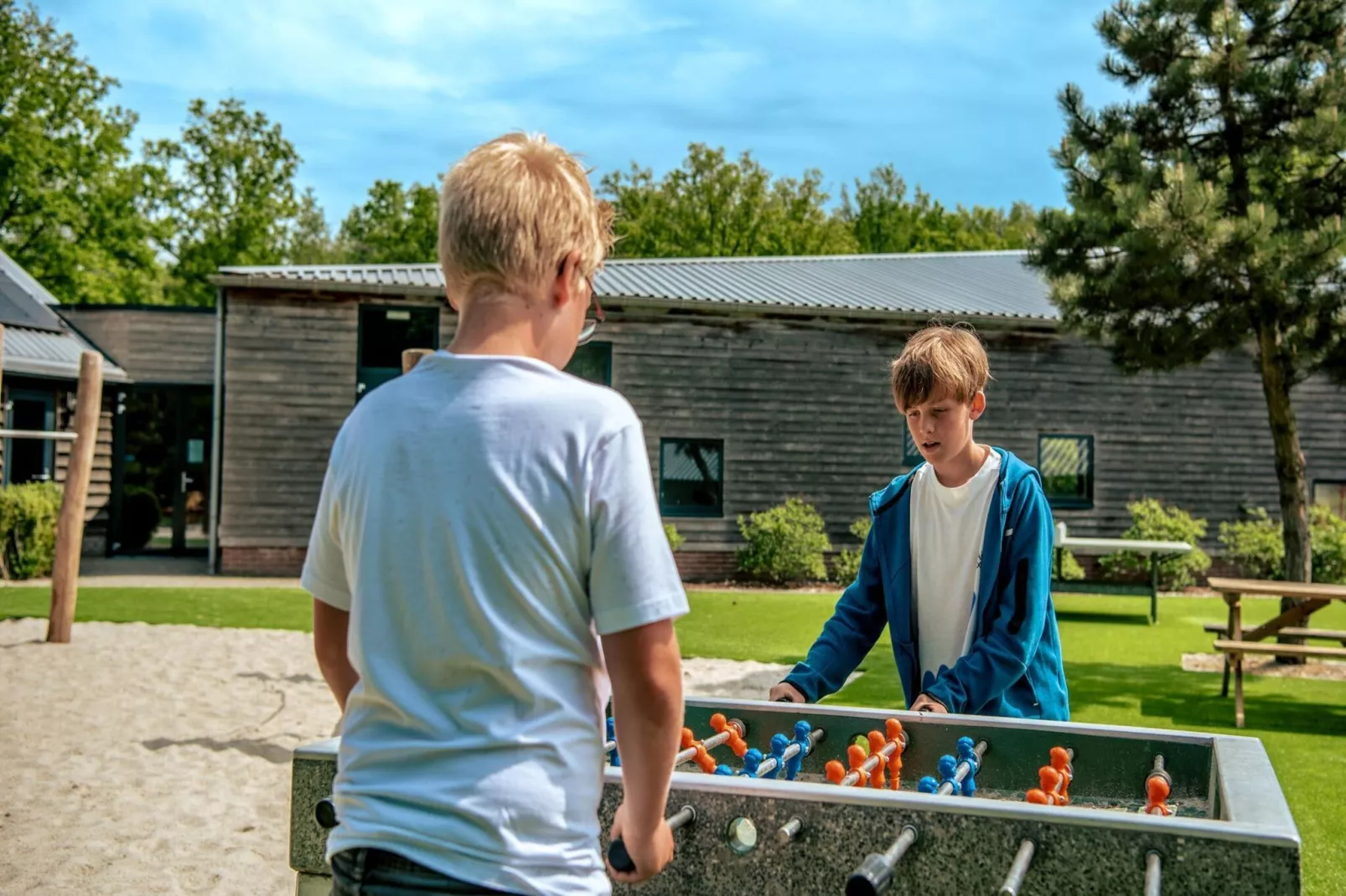 Resort Ruinen 12-Park facilities