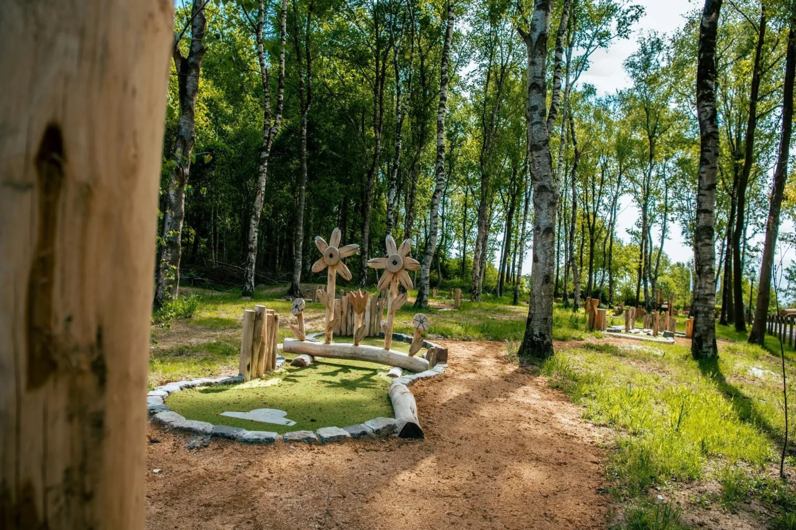 Resort Ruinen 12-Park facilities