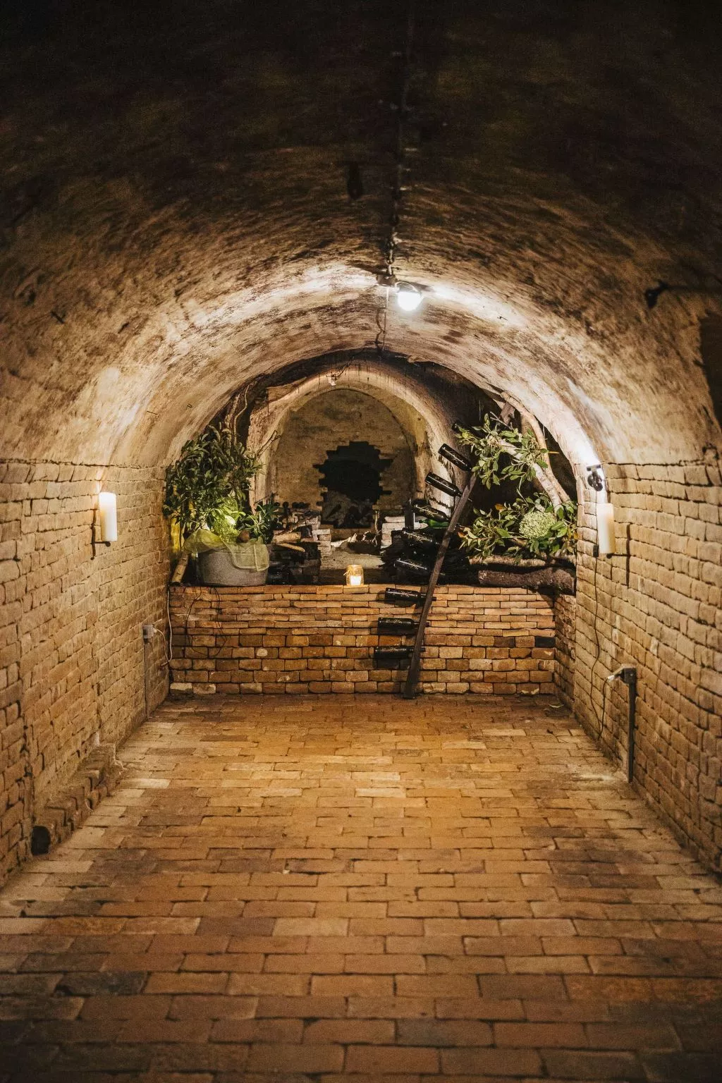 Weinfass-Suite für 2 in Grub an der March - Inside