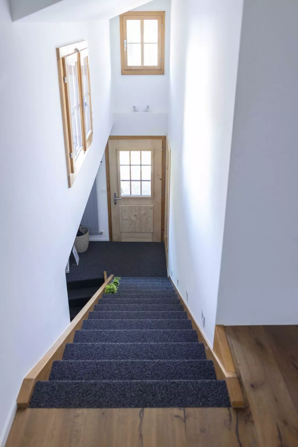 Baren Penthouse - Drinnen