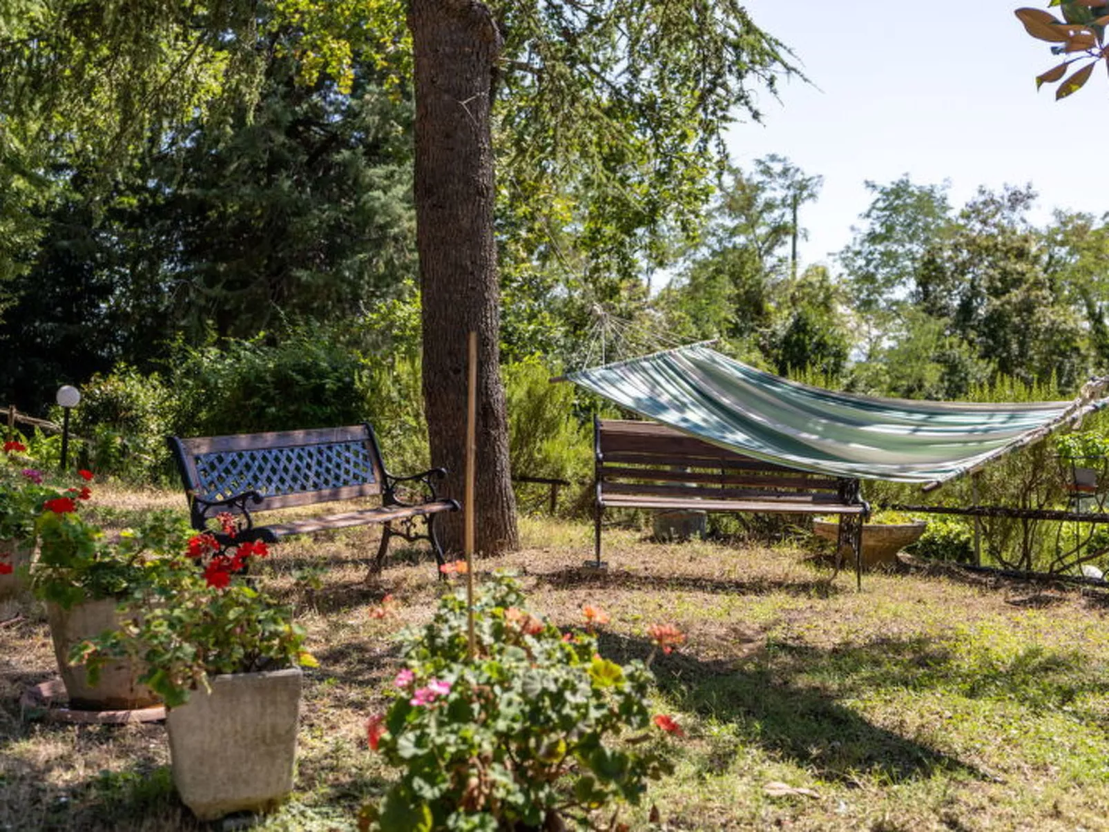 La Pineta Holiday Homes - Dehors