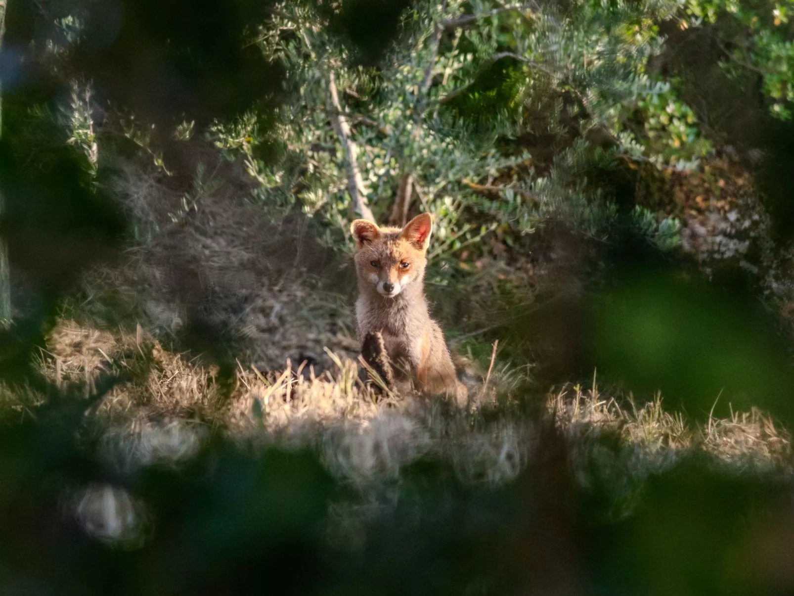 Glamping La Tenda di Lorenzo mit privatem Pool - Image-tags.info