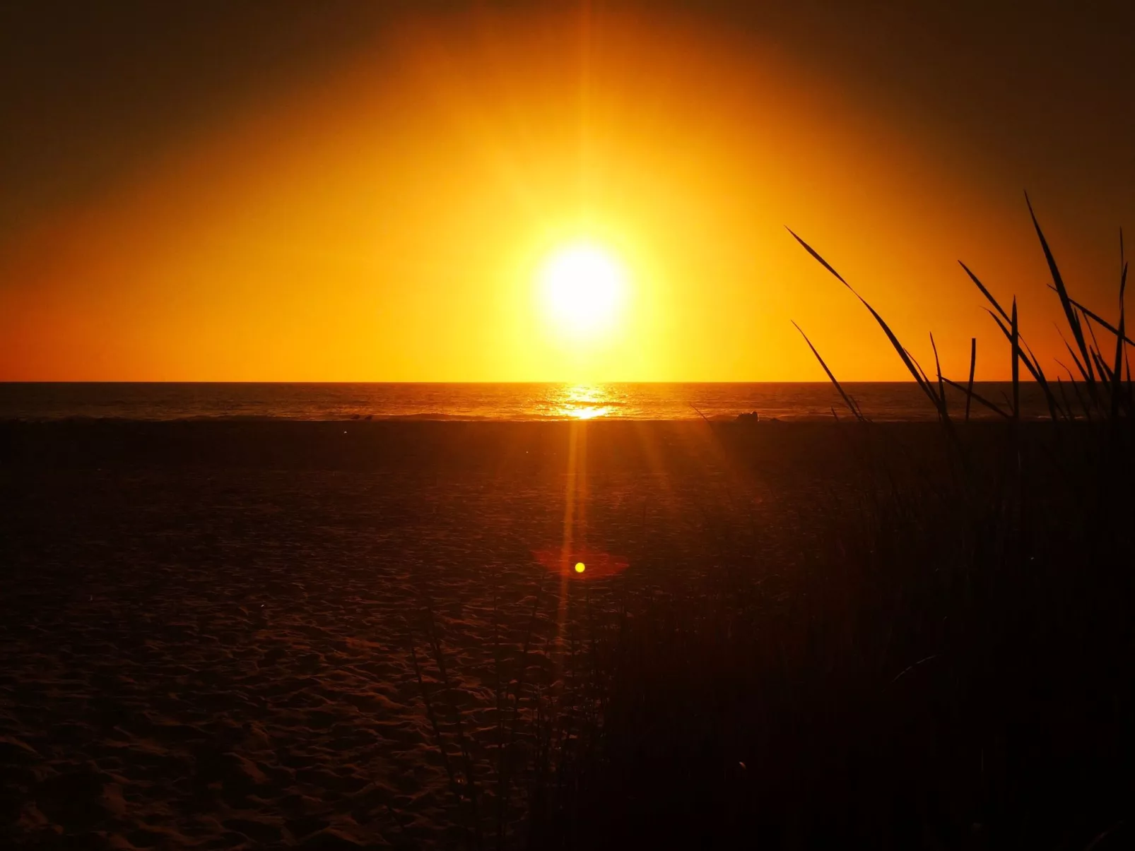 Villa Finca CB AP1 - Image-tags.info