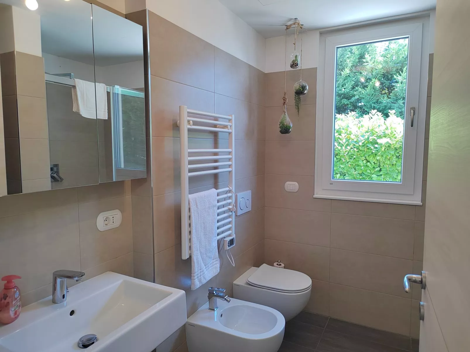 In einem spektakulären Olivenhain in einer ruhig - Image-tags.info