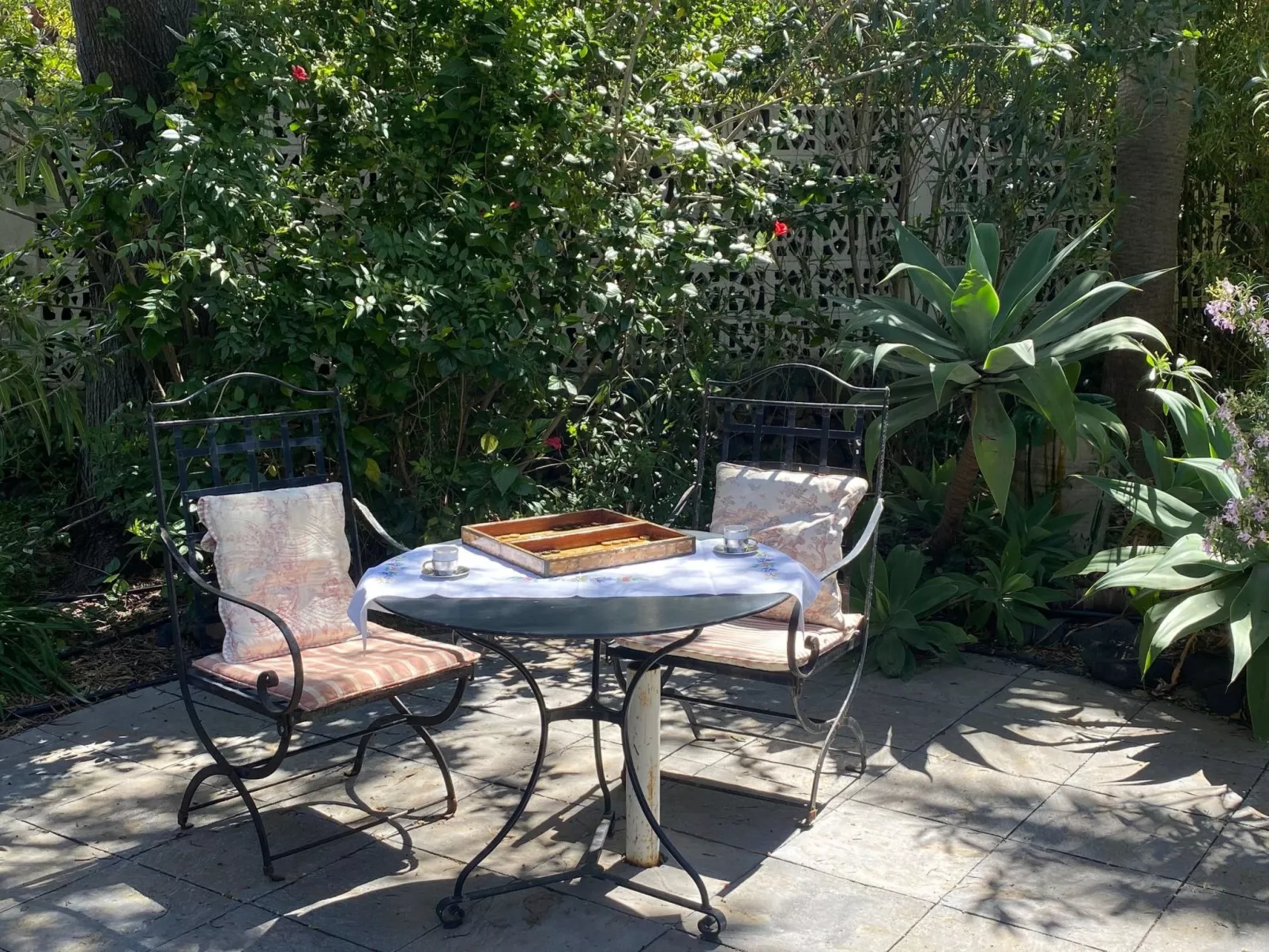 Las Tortugas - Dehors