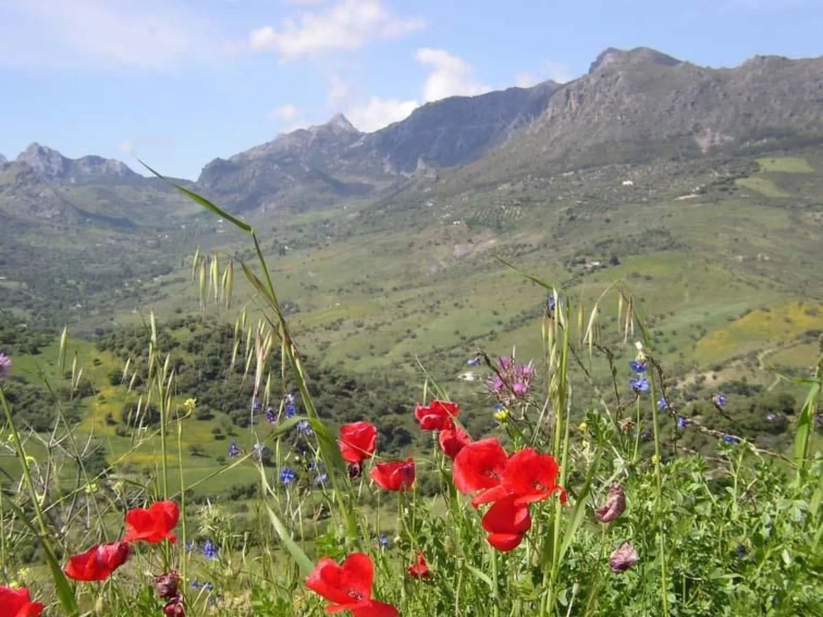 Mit Terrasse in der Nähe eines Wasserfalls - Draußen
