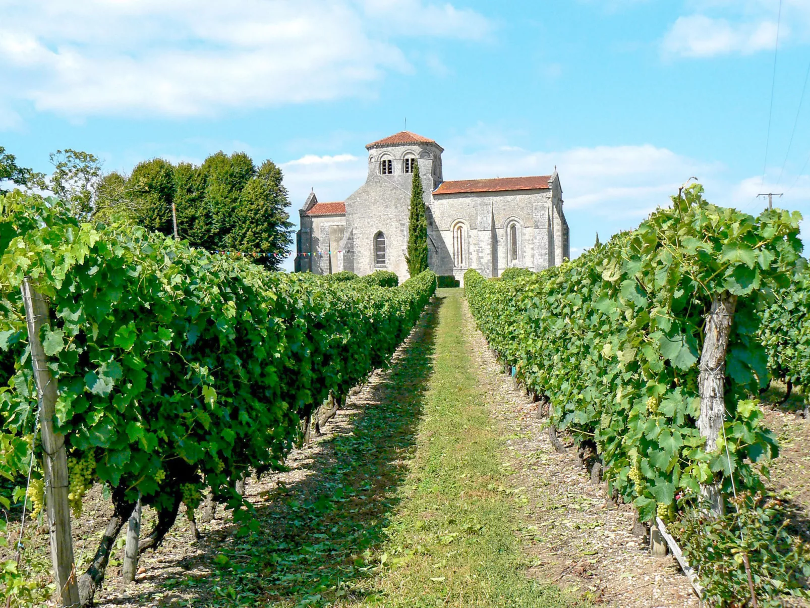 Les Coteaux de Jonzac - Draußen