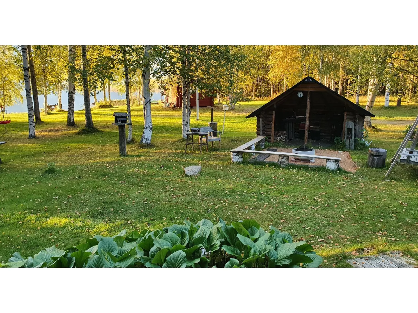 Koivulahden reinola - Dedans