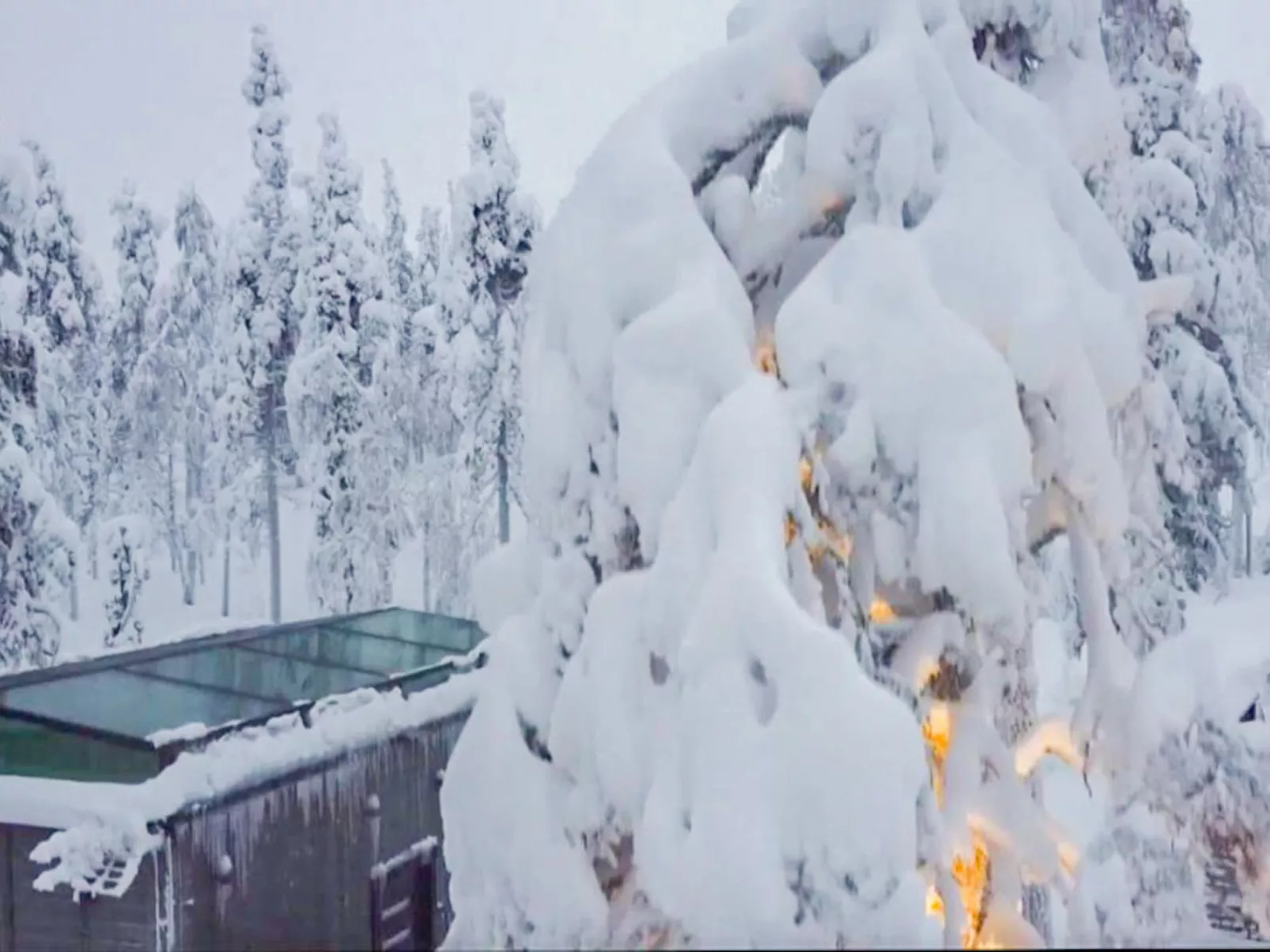 Levi secret igloo ruska 8d - Drinnen