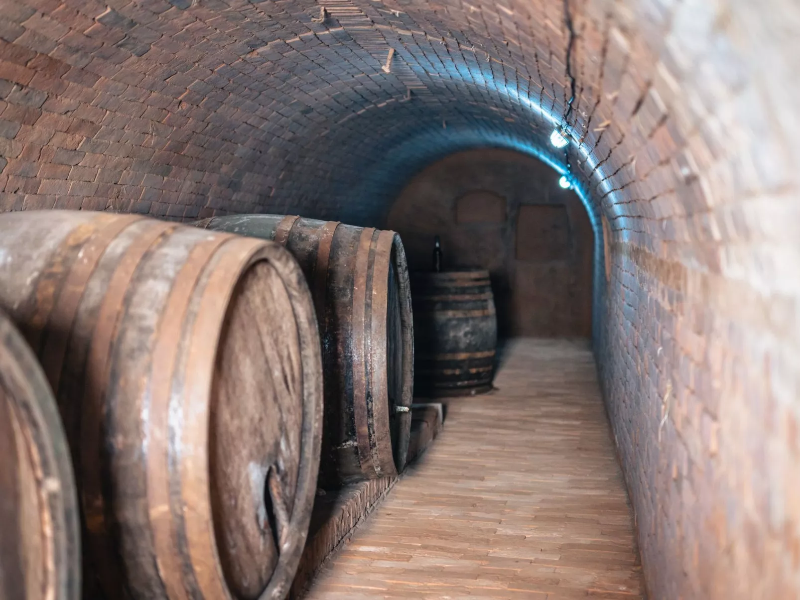 Weinfass-Suite für 4 Personen in Grub an der Mar - Outside