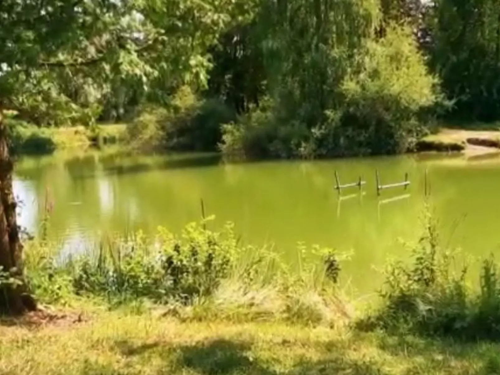 Smart Home Athen, Europapark, Rulantica ca. 15min - Image-tags.info