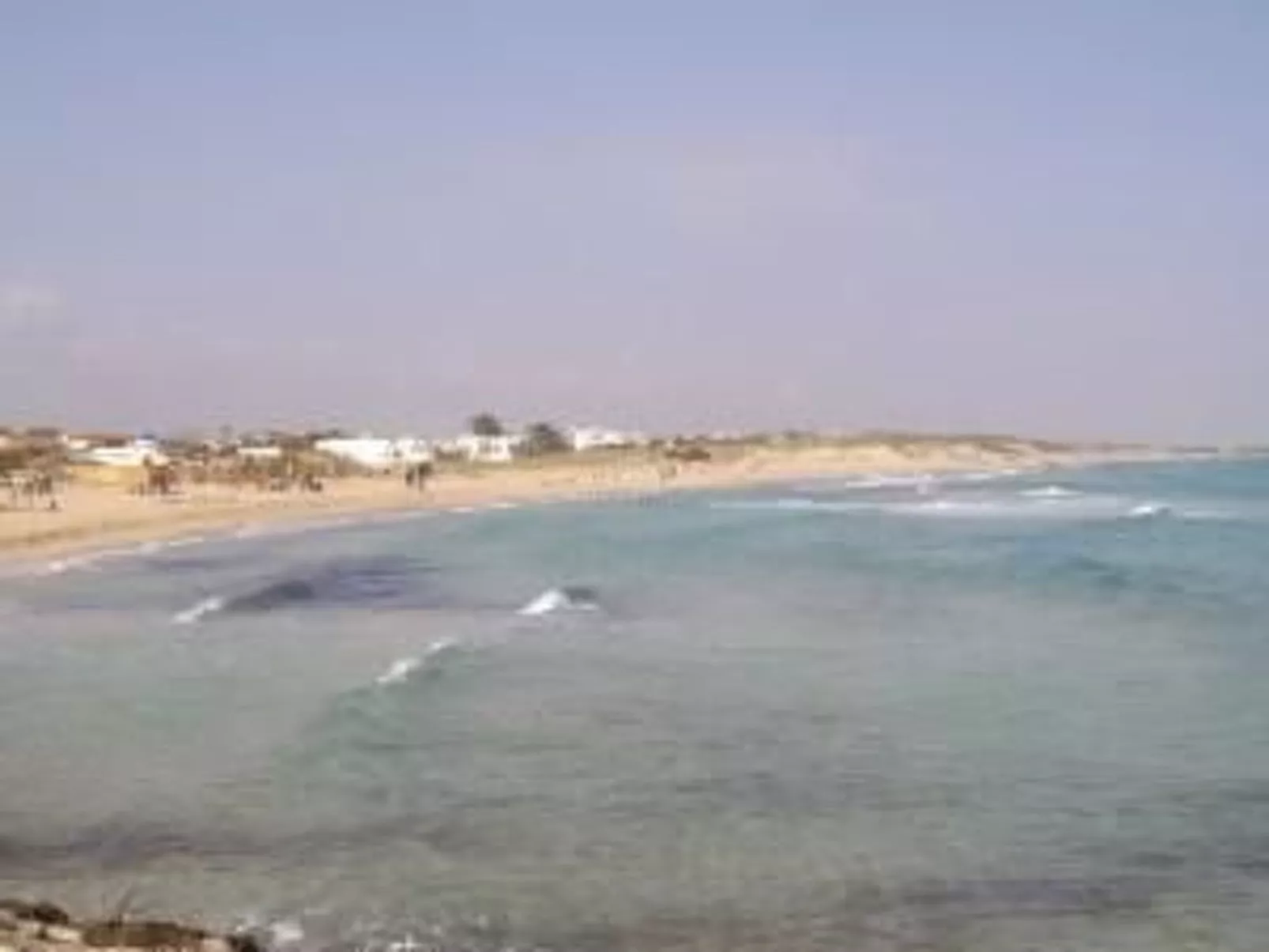 Doppelzimmer Cavalluccio Marino - Image-tags.info