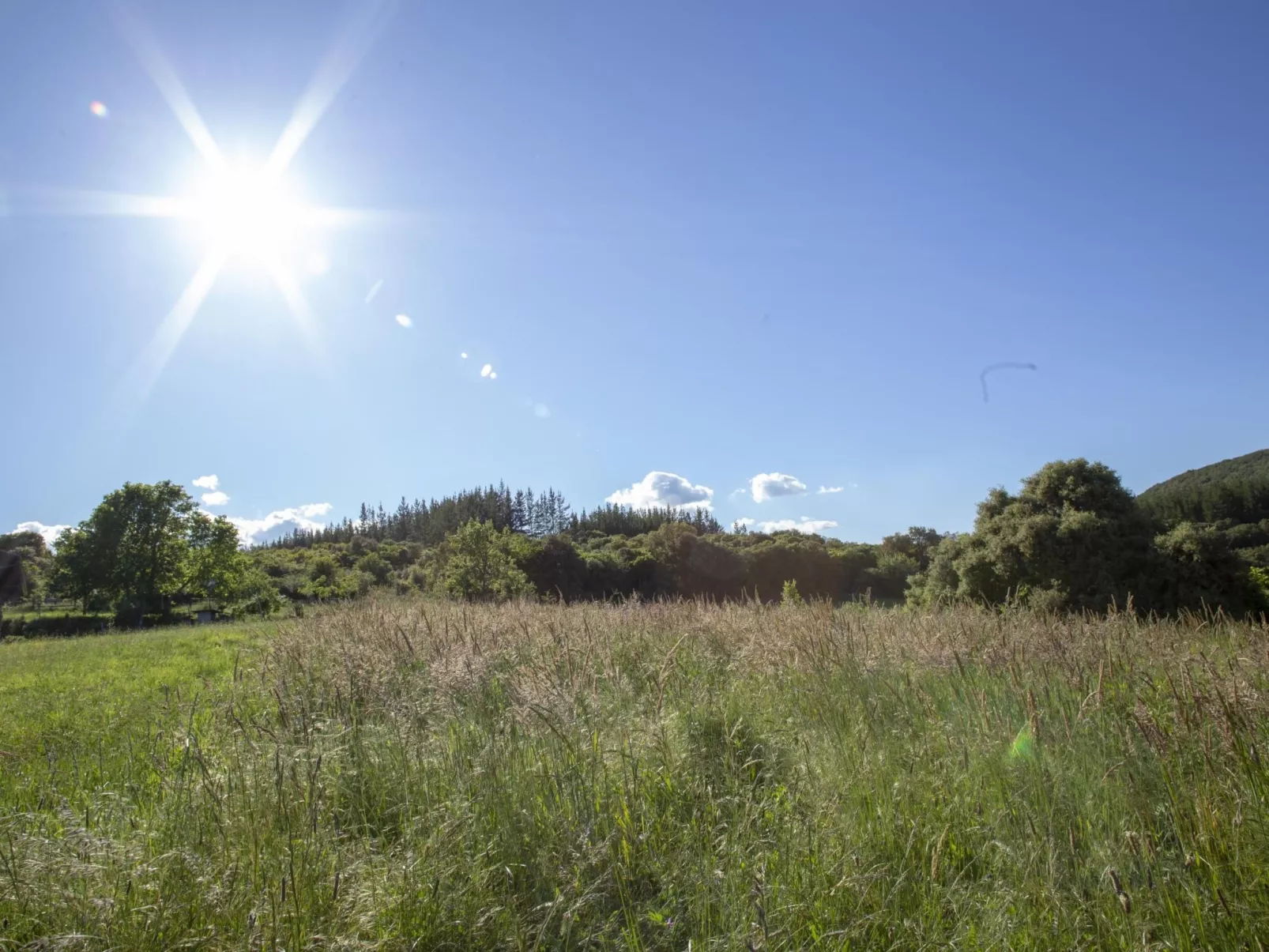 Ländliches Haus Medulas 3 Belegung für 4 6 PAX - Outside