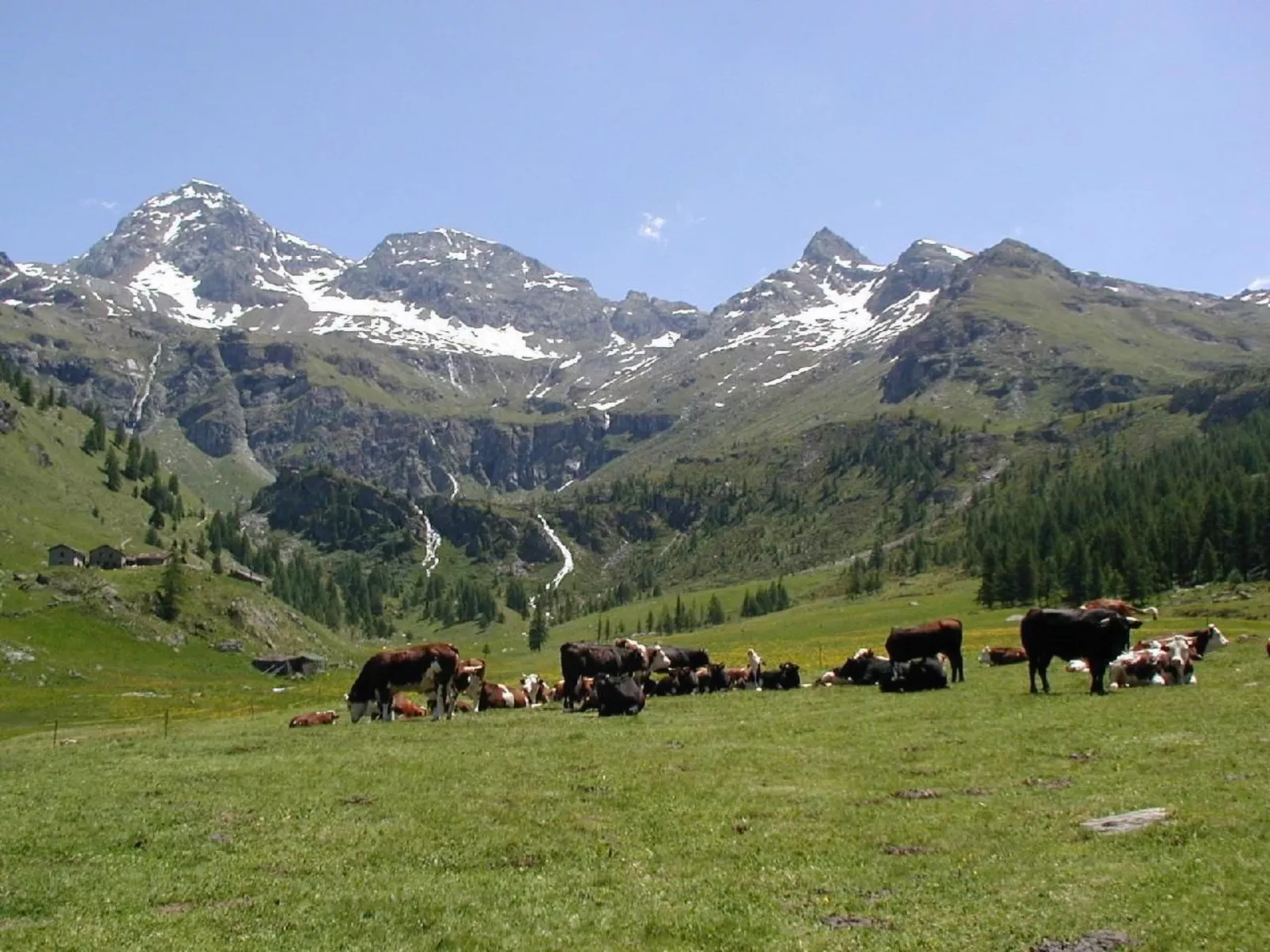 'Lo Chalet' der Balkon über dem Matterhorntal - Outside
