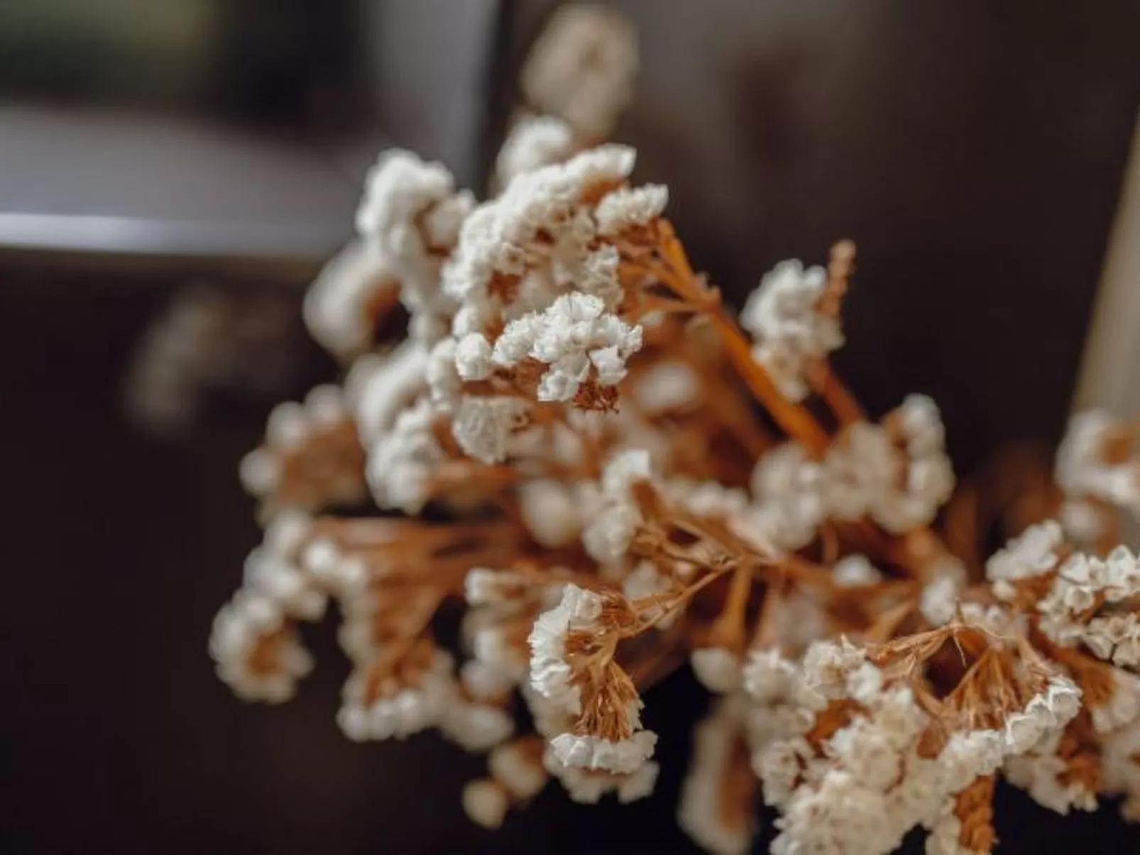 DOWNTOWN GRAND TOWER VIEW by VACATIONY - Inside