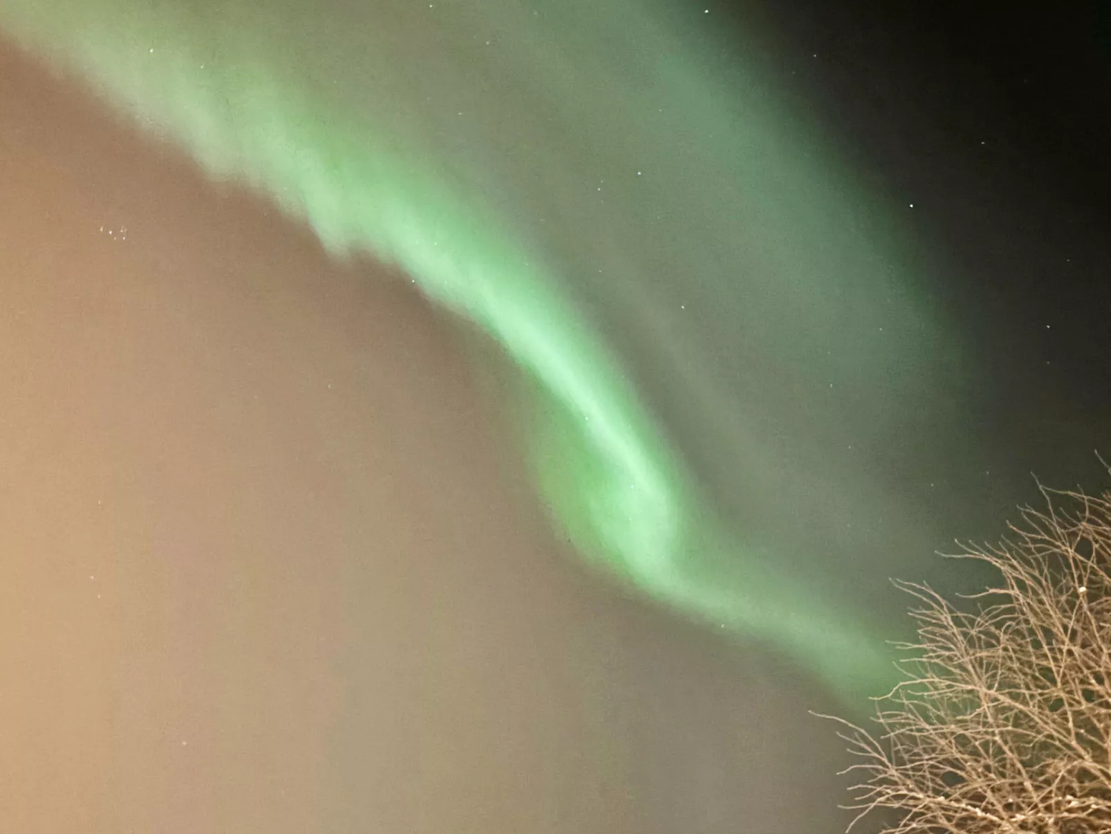 Grand villa kemijoki - Drinnen