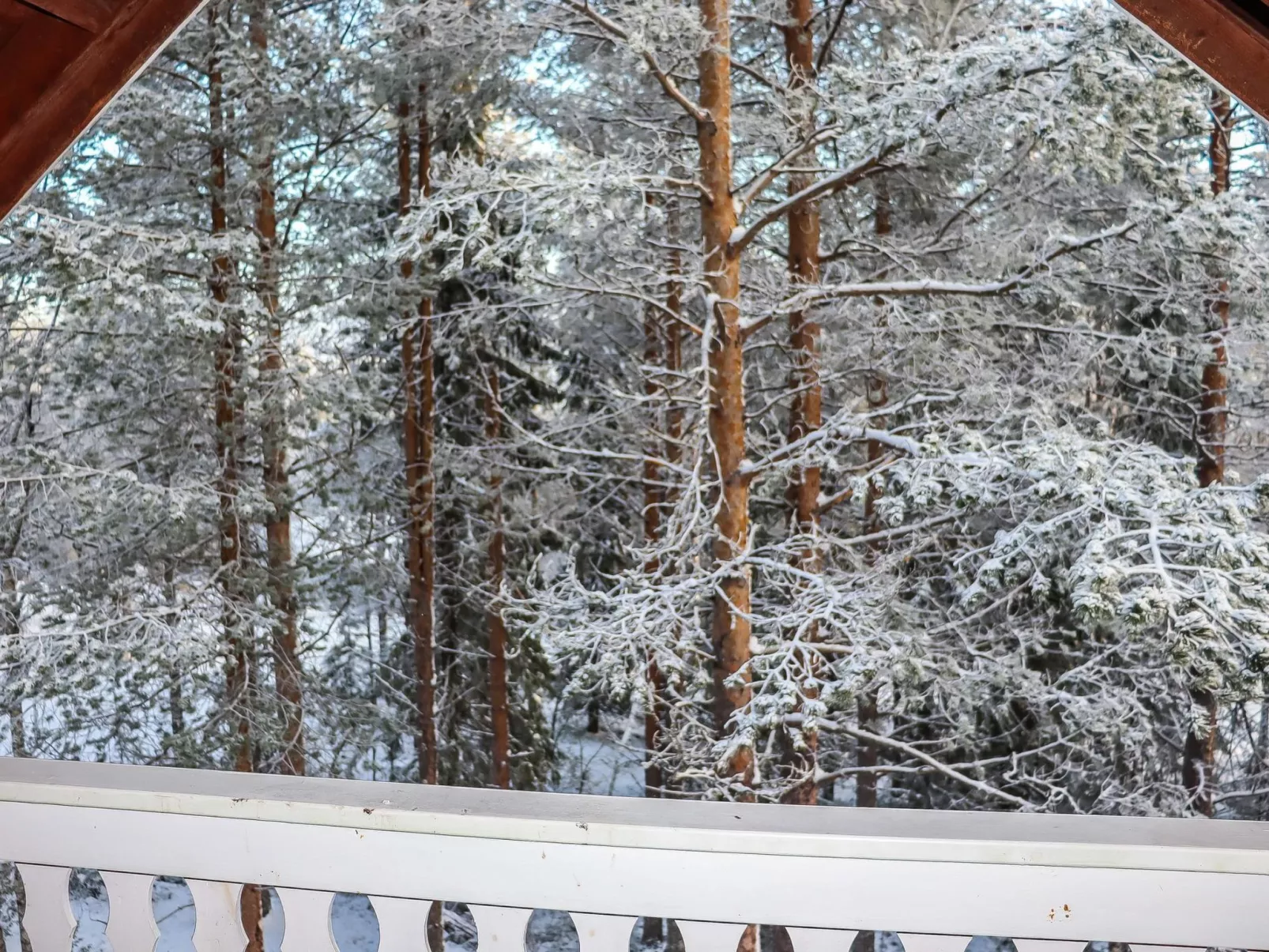 Alppikylä 8a paritalo - Dedans