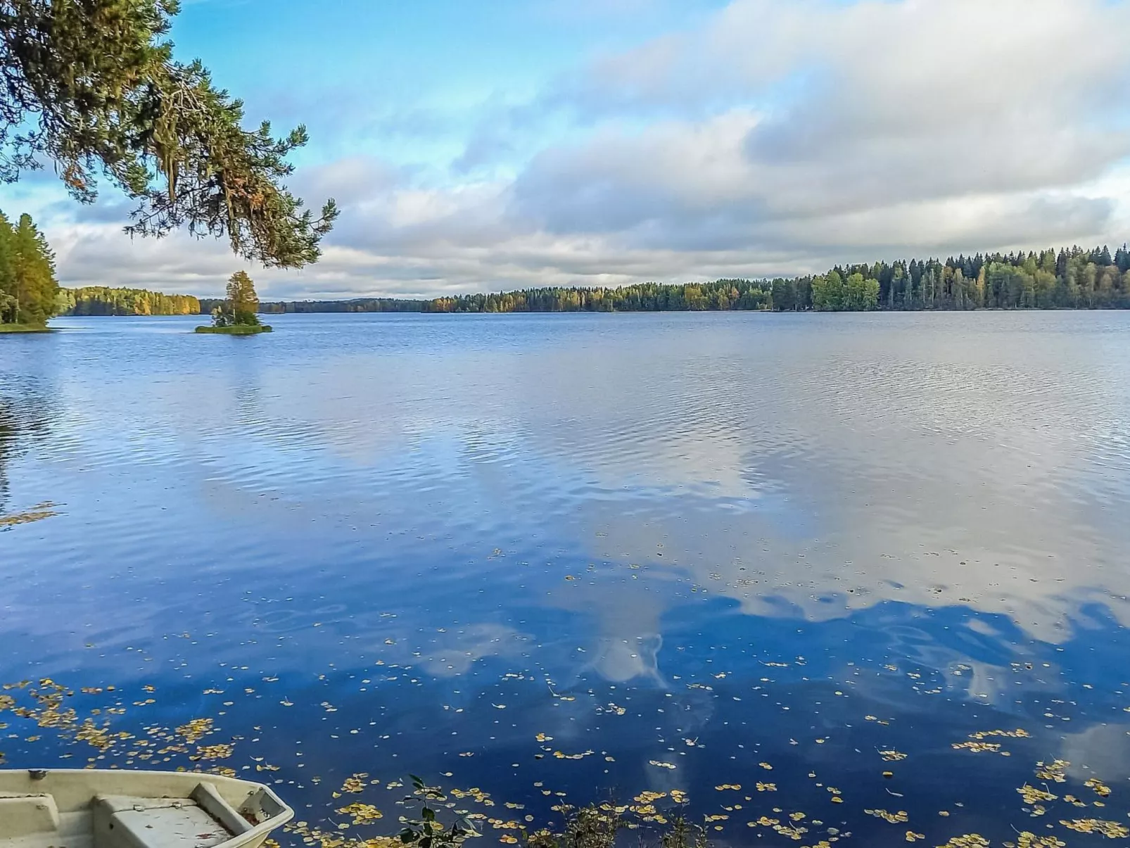 Kelosyväri 17 - Dedans