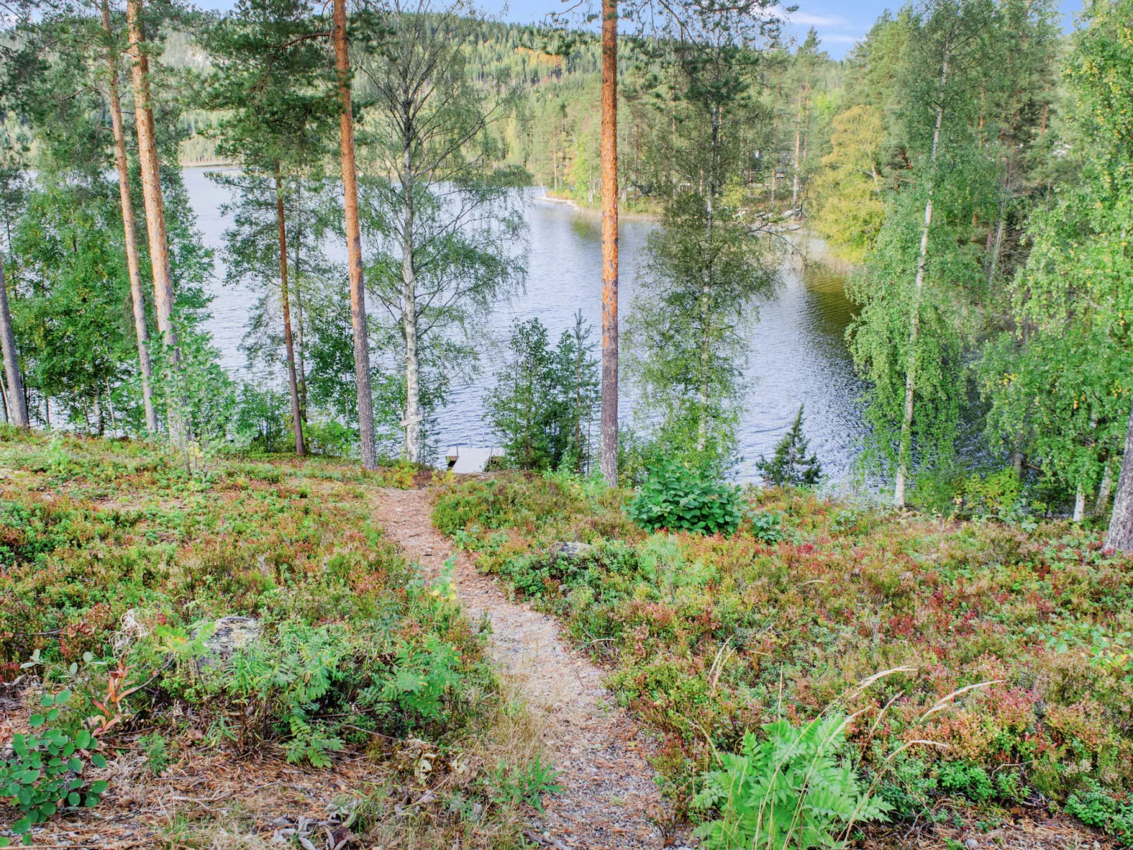 Saunaharju 6 - Dedans