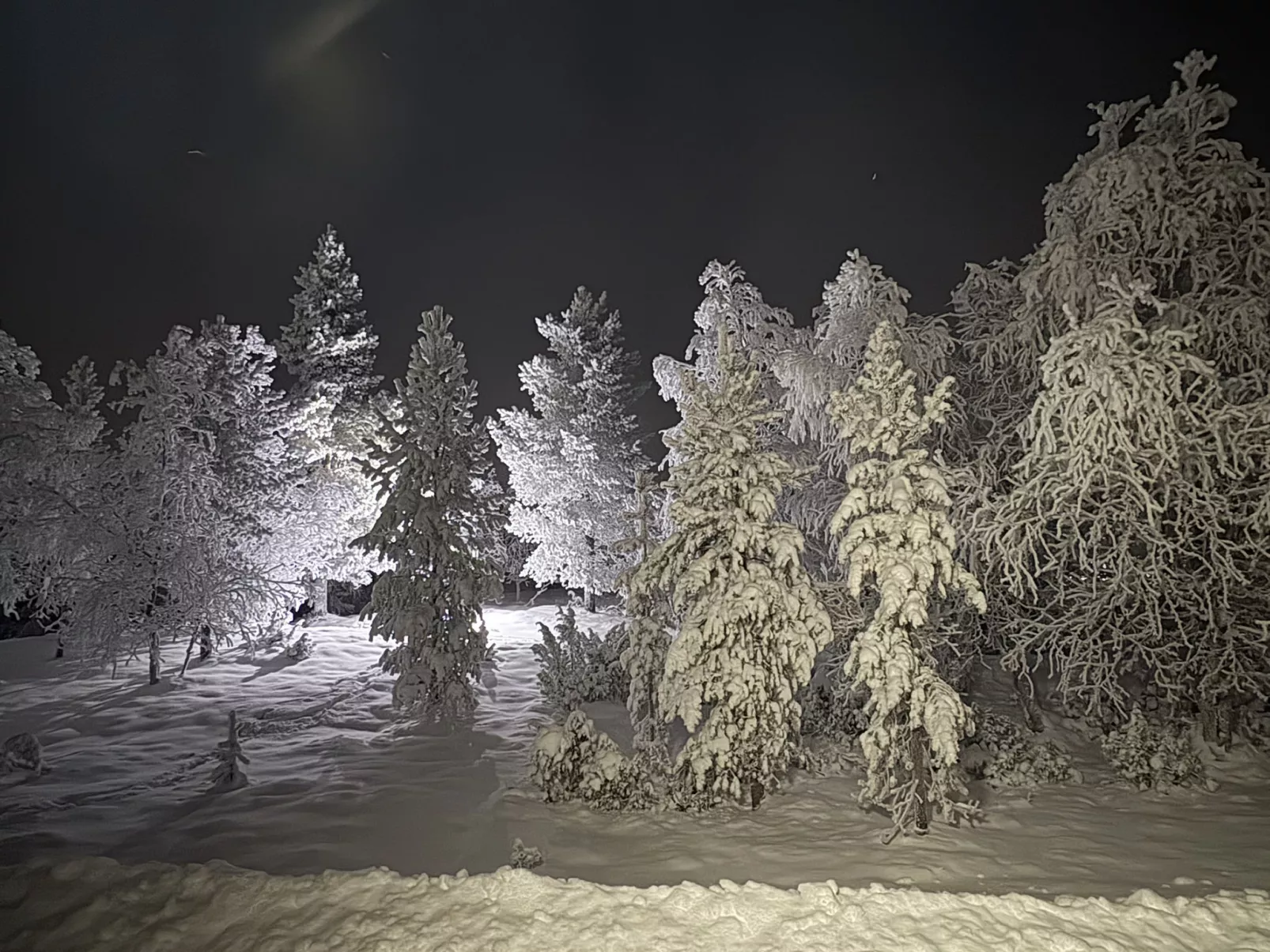 Lumikeidas - Drinnen