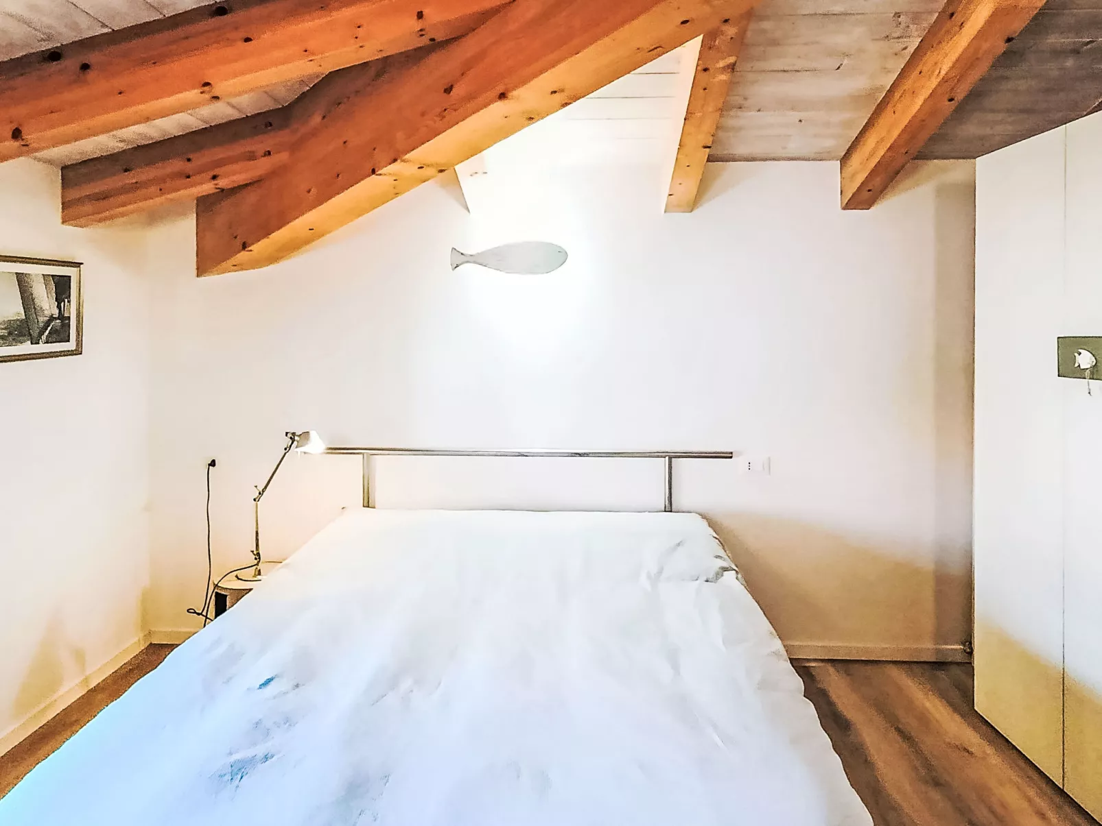 Tra gli Ulivi - Dedans