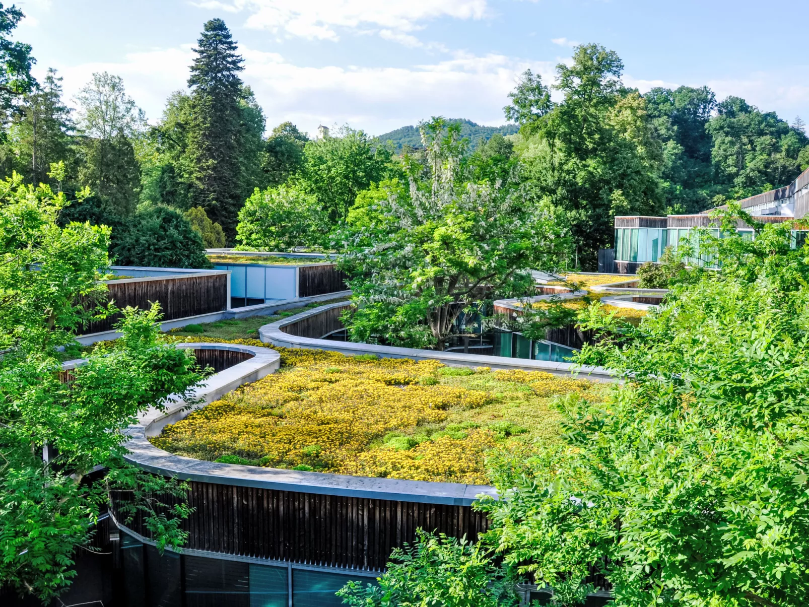 Ferienhaus am Meißlberg - Draußen