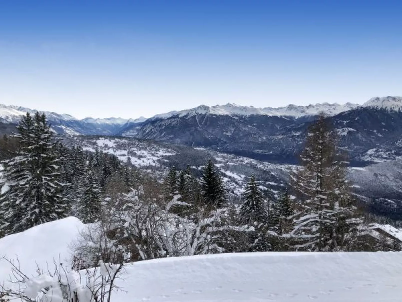 Tiny House facing the Alps - Ski in and out - Outside
