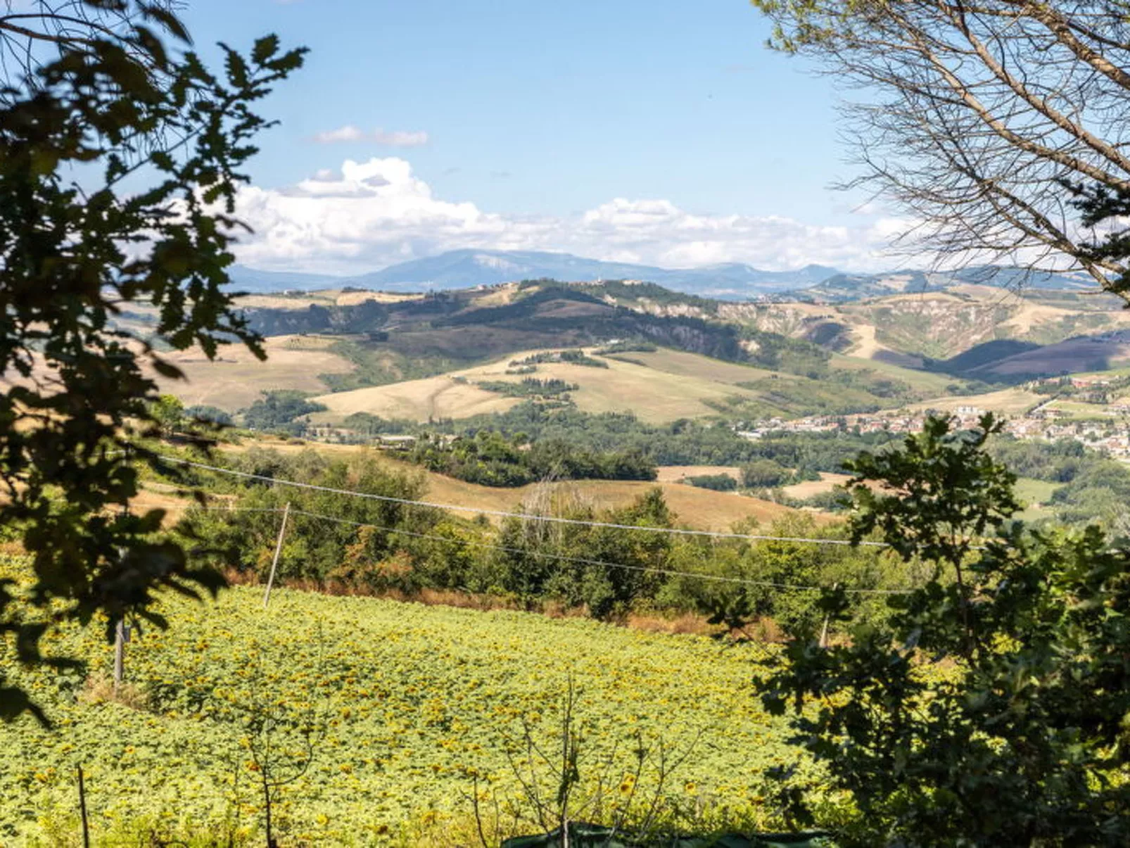 La Pineta Holiday Homes - Dehors