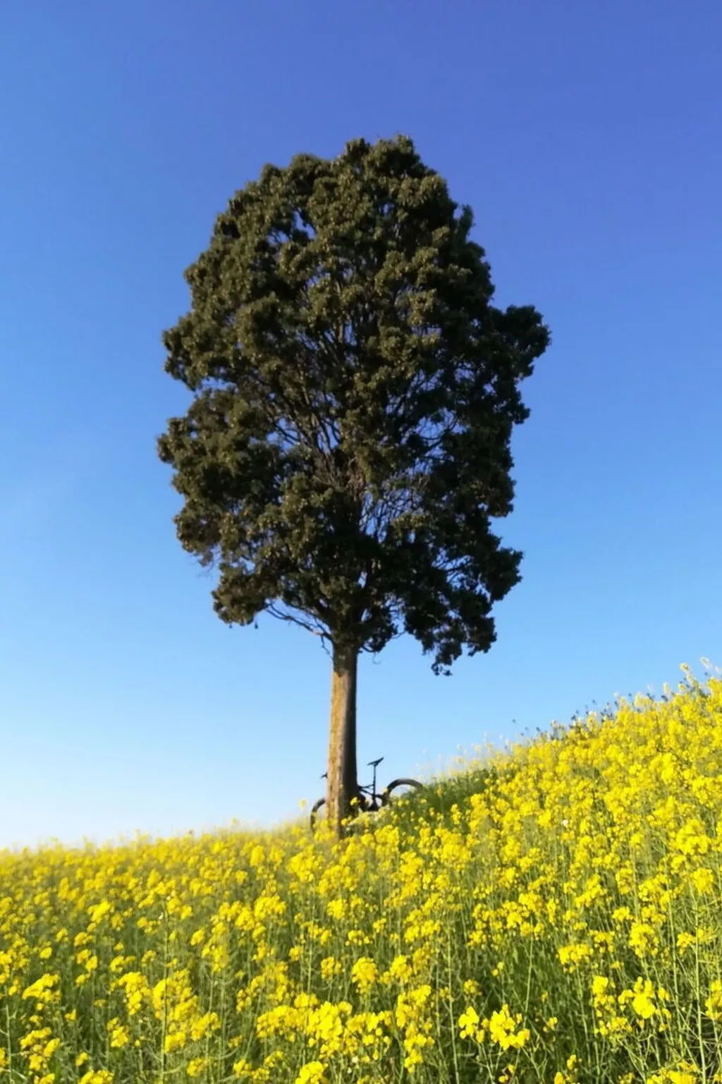 Villa Clair - Draußen