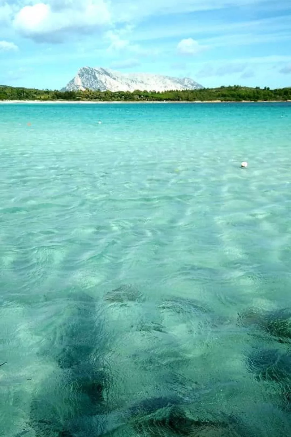 Tenuta 'Olivo Suite' mit Terrasse - Image-tags.info