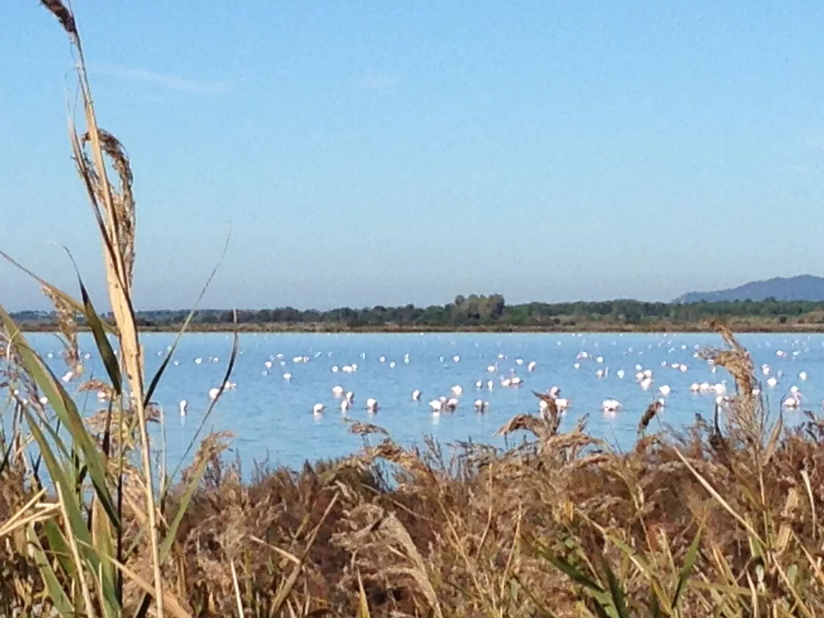 Ferienzimmer "Stern von Bethlehem Zimmer"'. - Outside