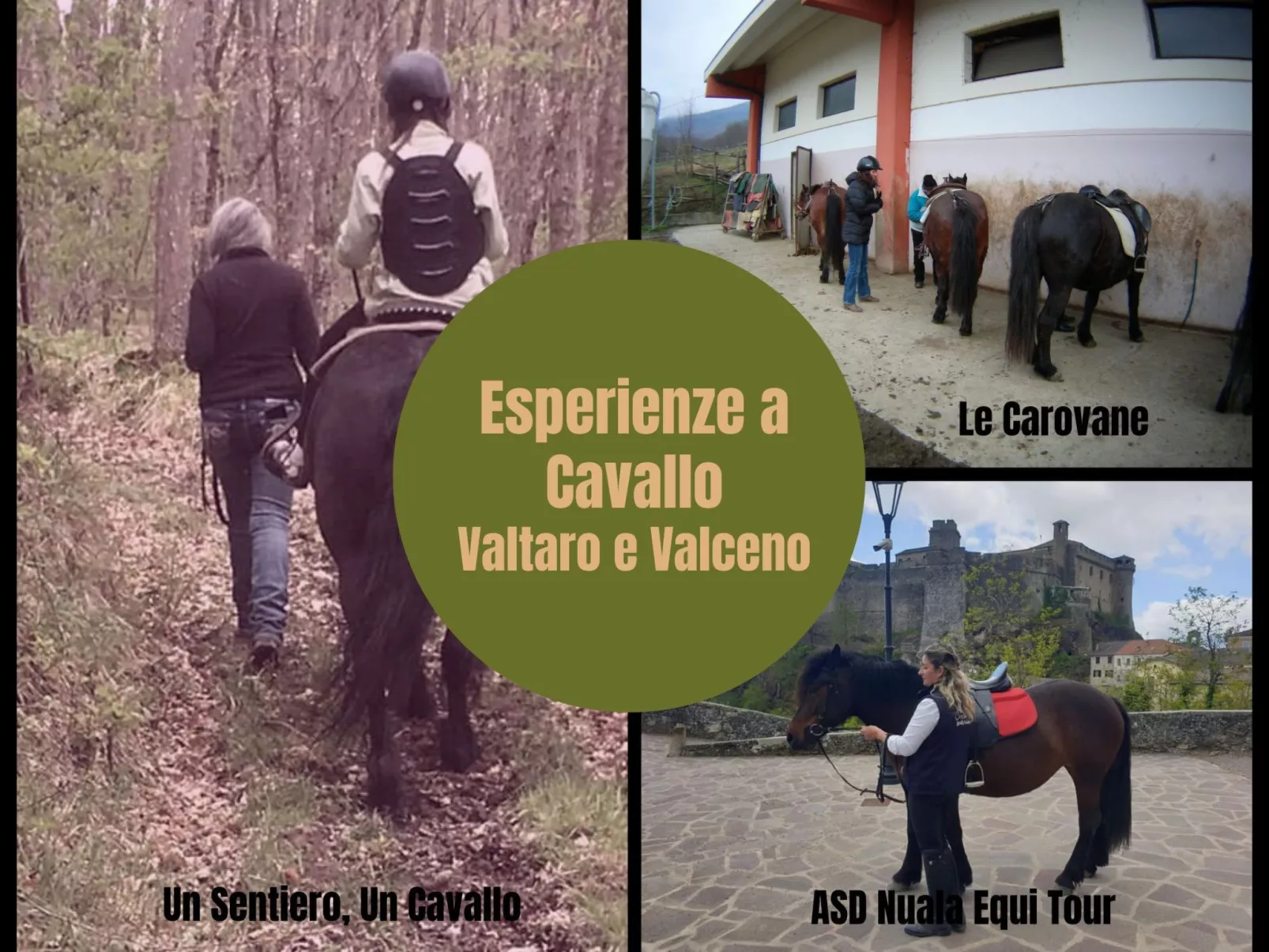 Ferienzimmer in Tolasudolsa Zimmer Frühstück - Outside