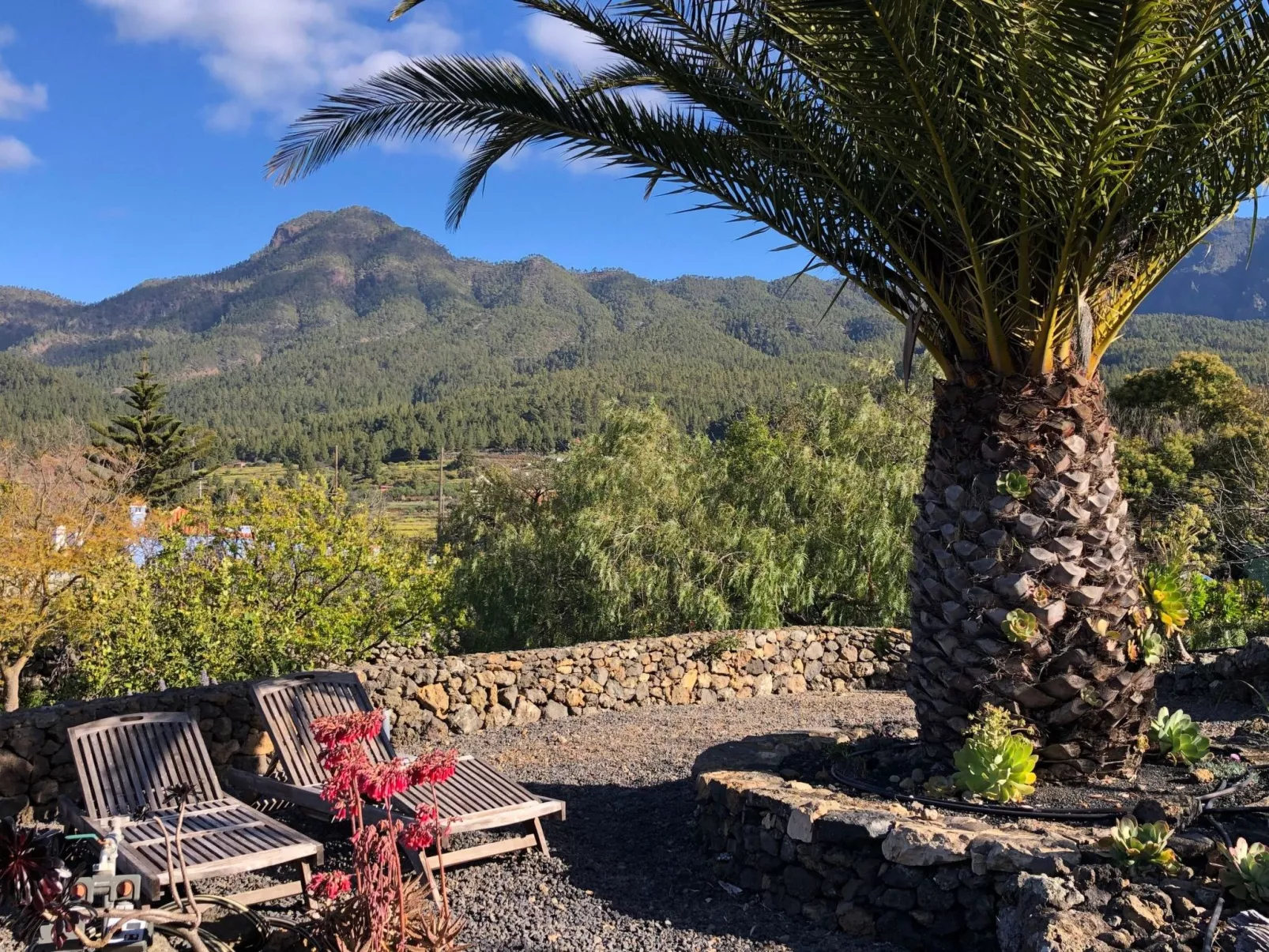 Las Tortugas - Dehors