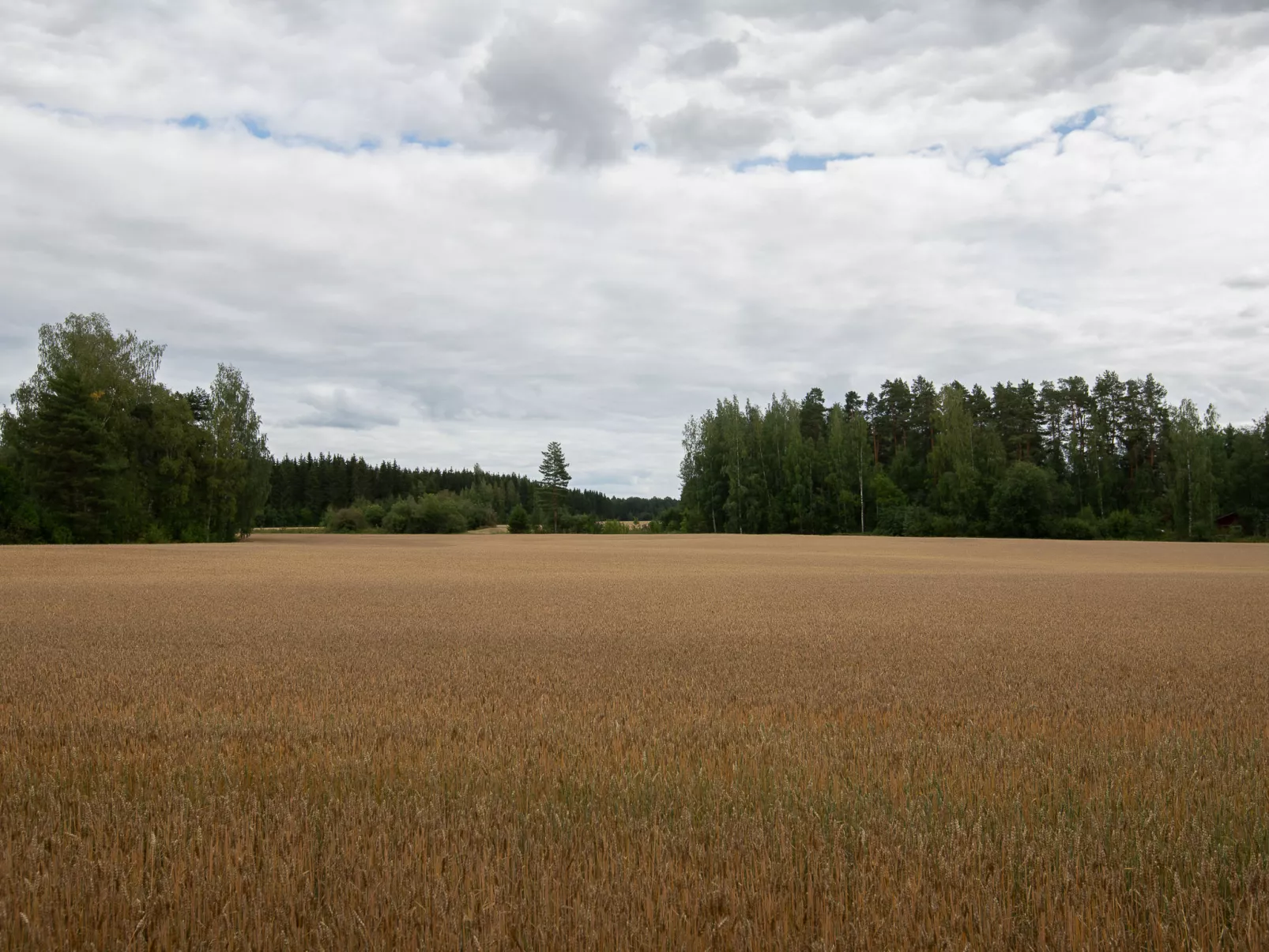 Virtaan väentupa - Inside