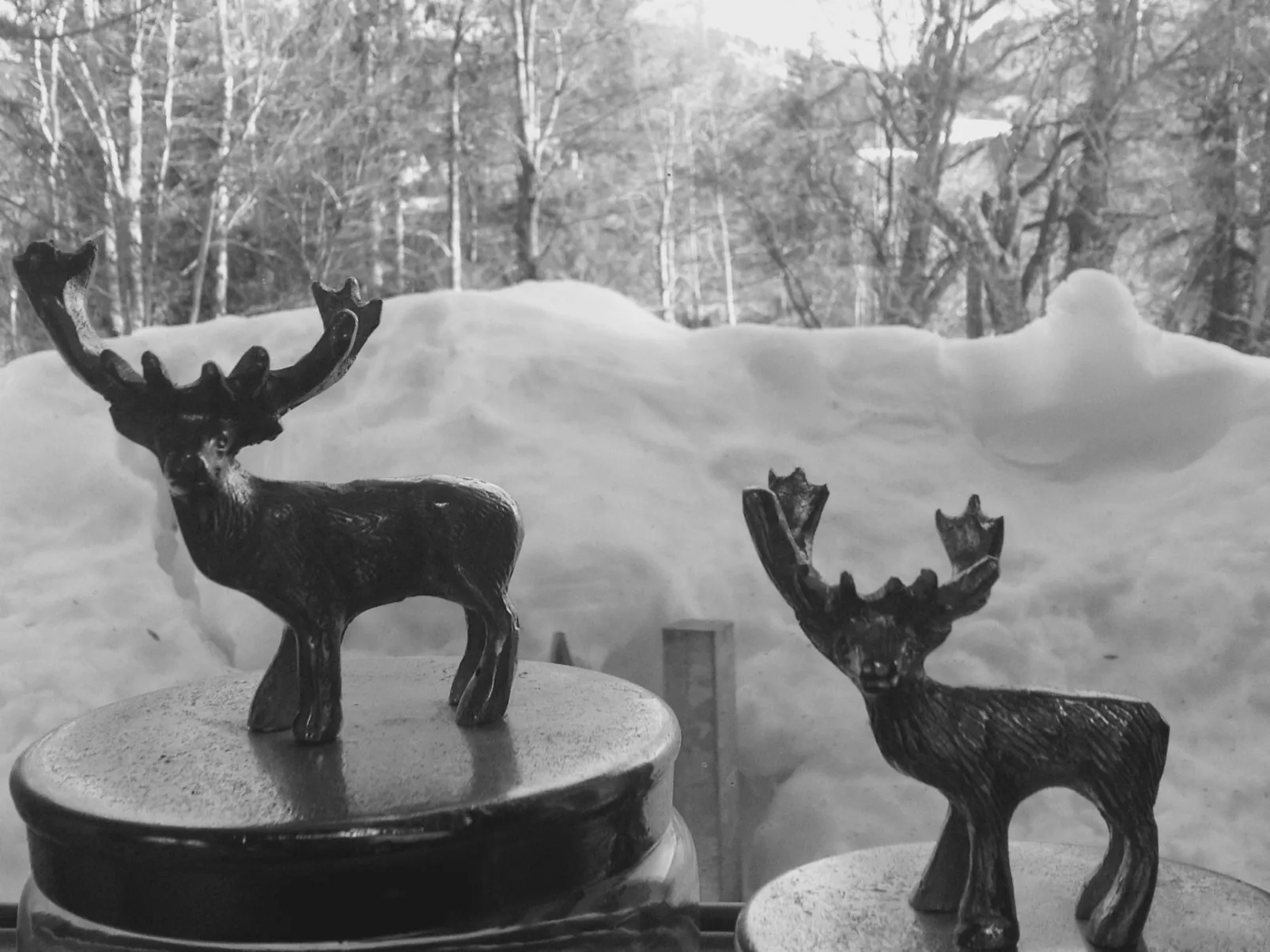 Kräuterhof-Ferienwohnung - Draußen