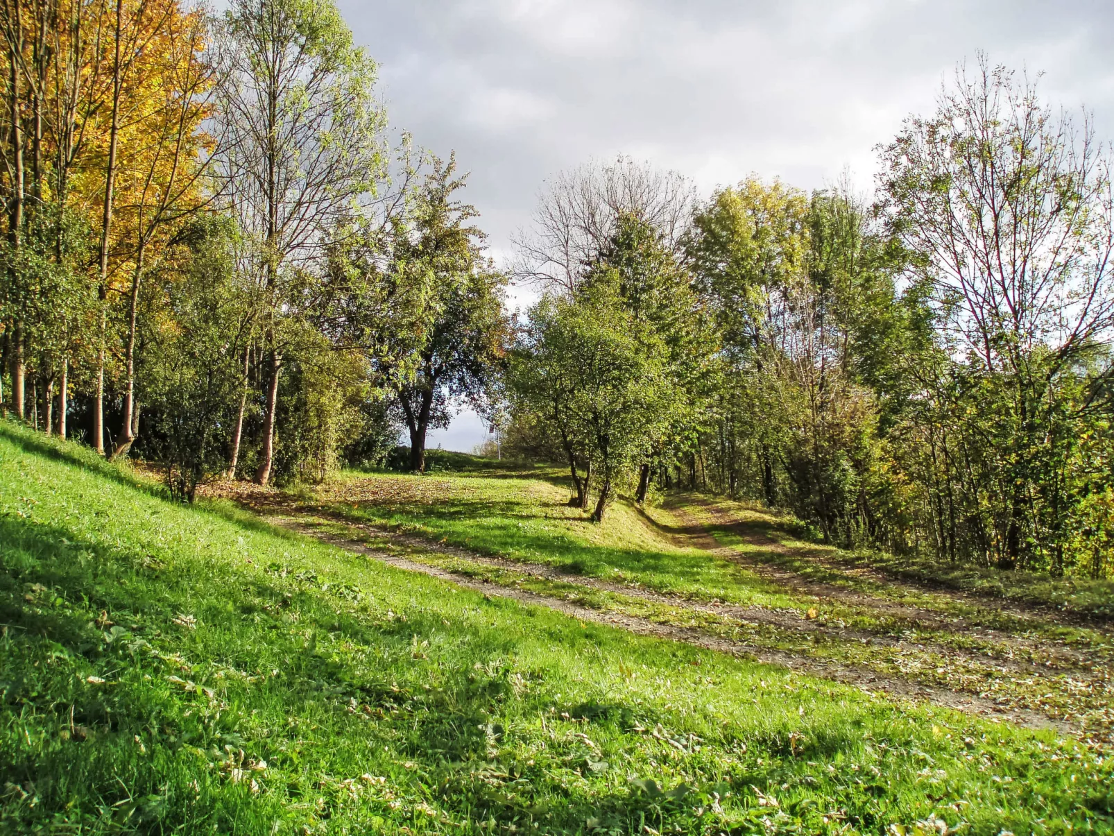 Green Valley Park Stárkov 15 - Draußen