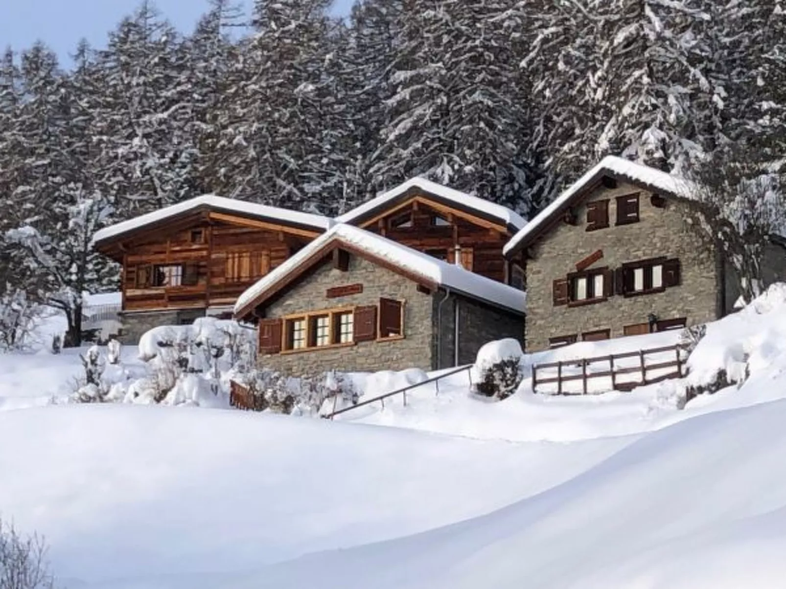 Tiny House facing the Alps - Ski in and out - Outside