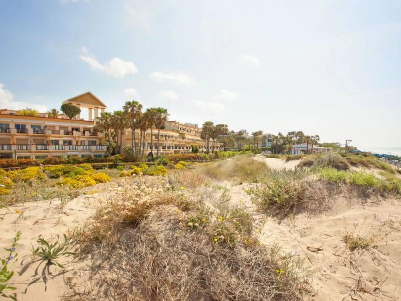 Romana Playa 555 - Image-tags.info