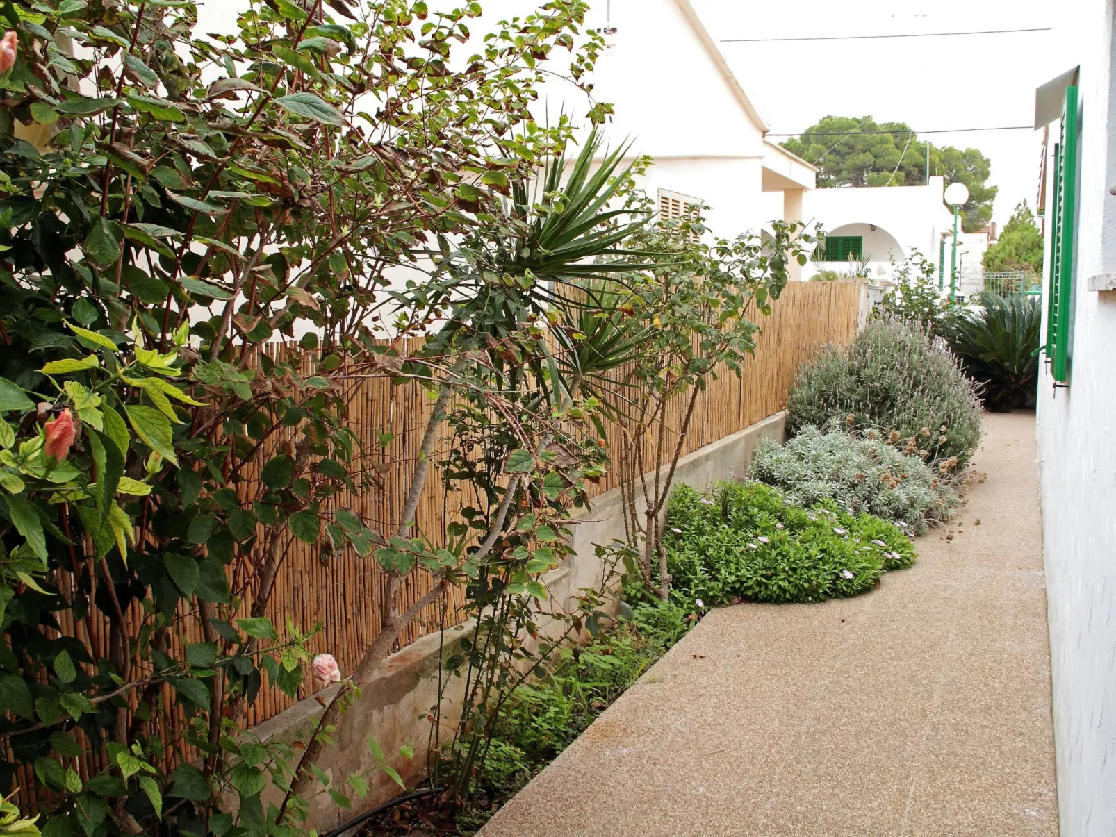 Haus Amador Sa Rapita - Image-tags.info