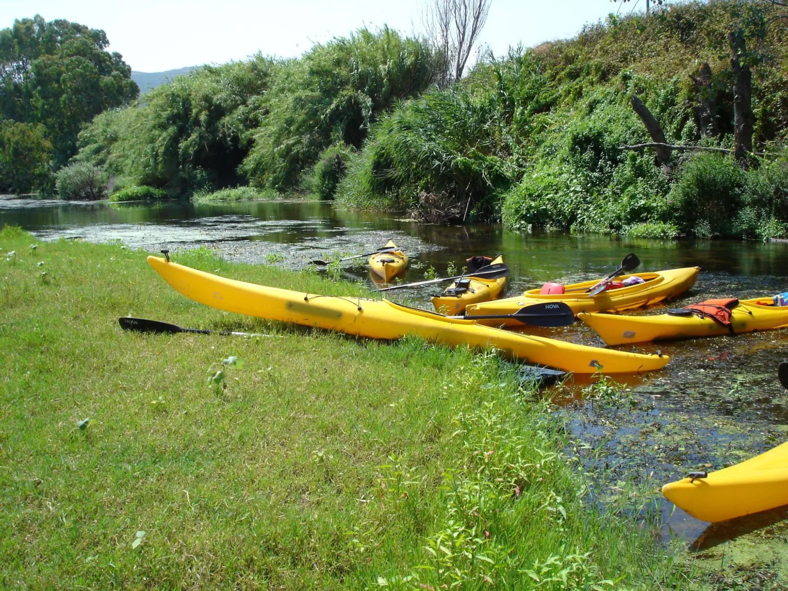 Sa Fiorida Valentina - Dehors