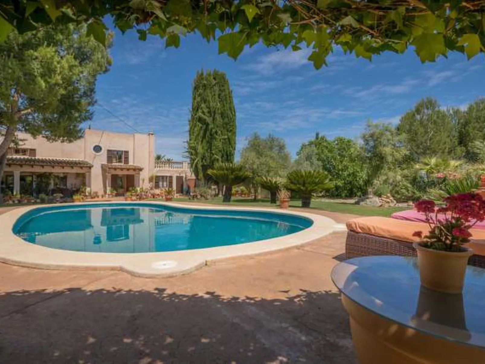 San Vicente - Image-tags.info