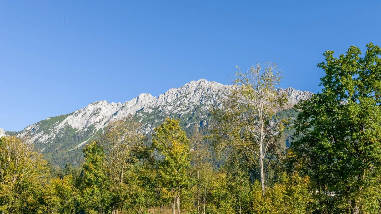Pension Blaiken M-Areas summer 5km