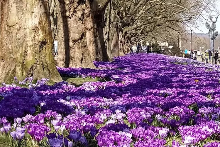 Holiday complex in Jezierzyce by Szczecin at the lake 30 qm for 4 persons Typ C Zolty - Areas within 20km in summer