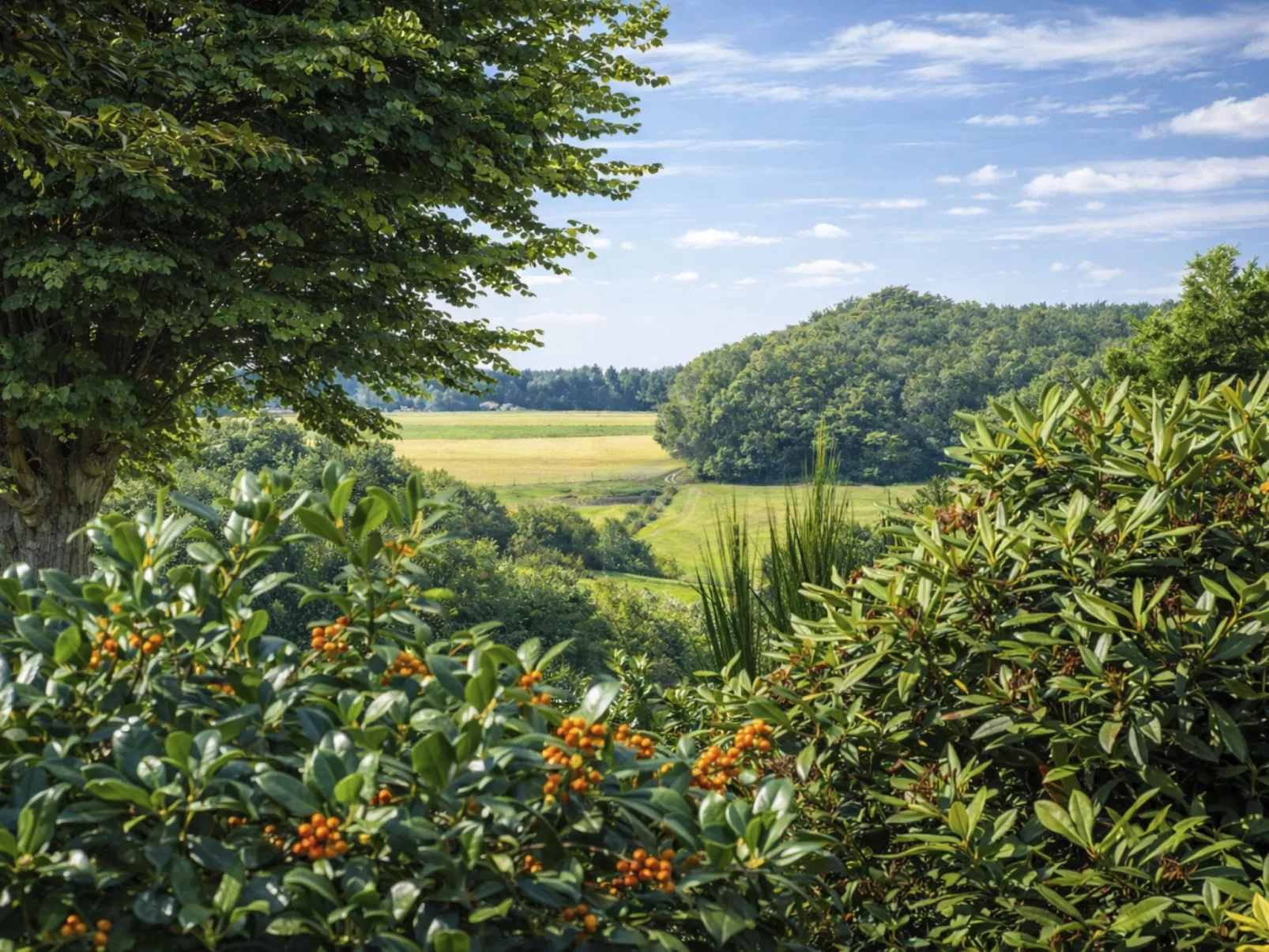 Bungalowpark Landsrade - Draußen