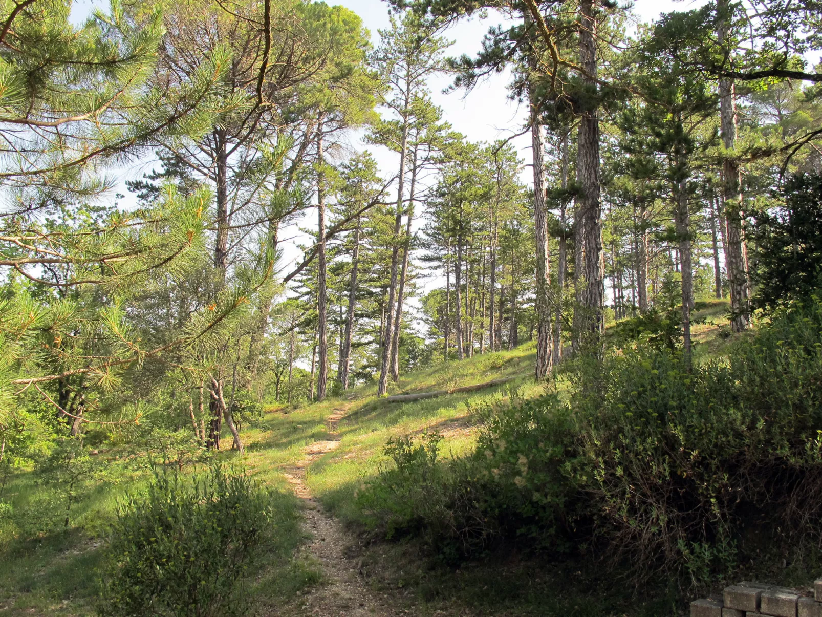Domaine de Château Laval - Draußen