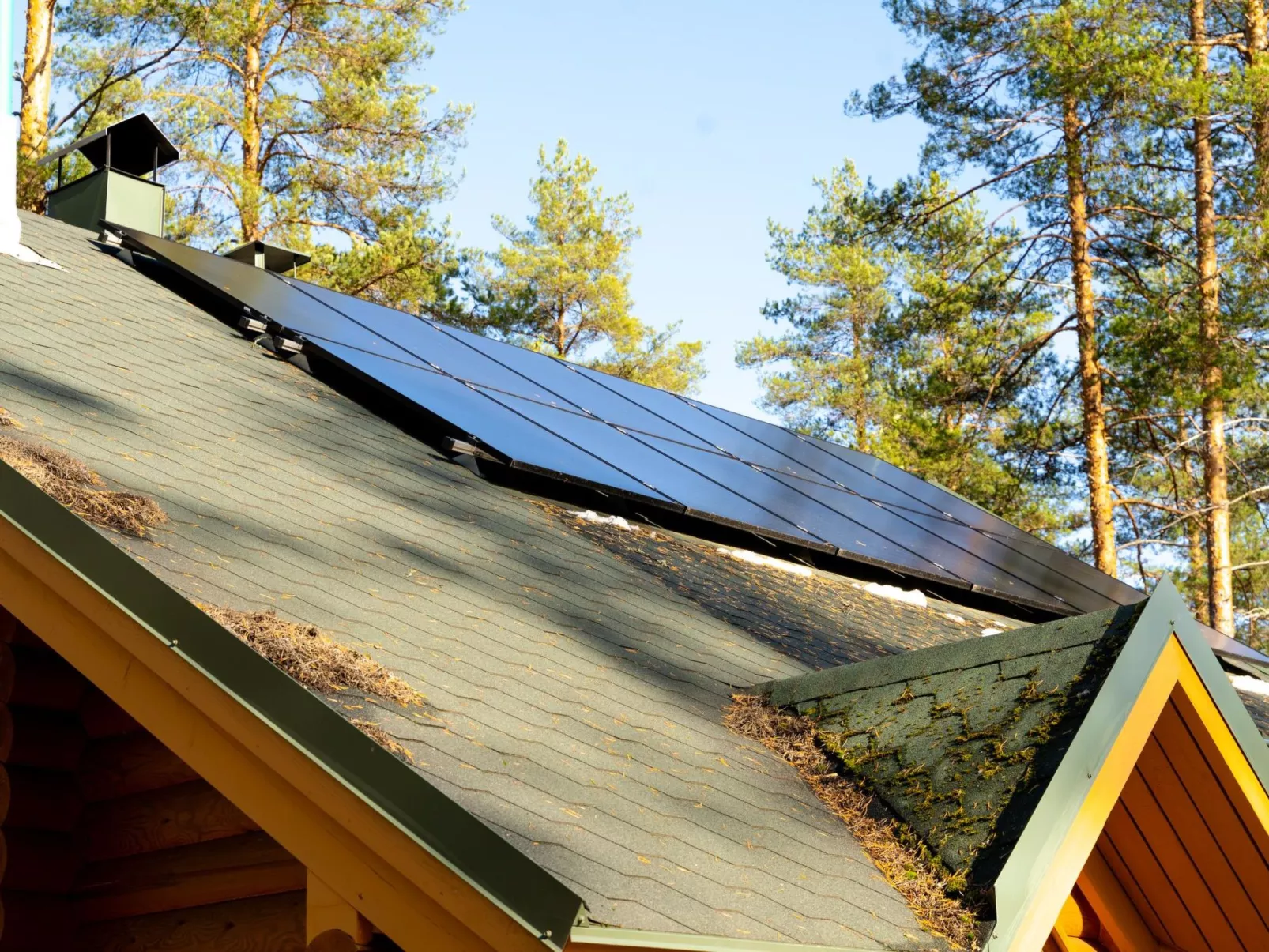 Villa tunturitervakko - Dedans